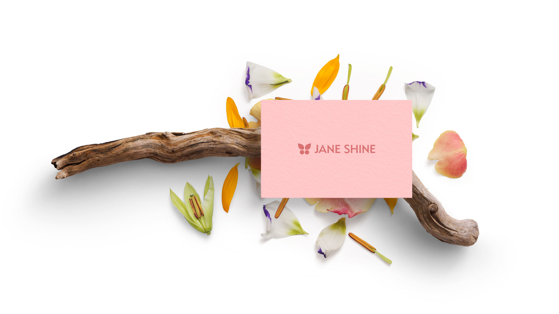 Jane Shine. Логотип, цвета, шрифт. 2023 — Изображение №9 — Брендинг на Dprofile