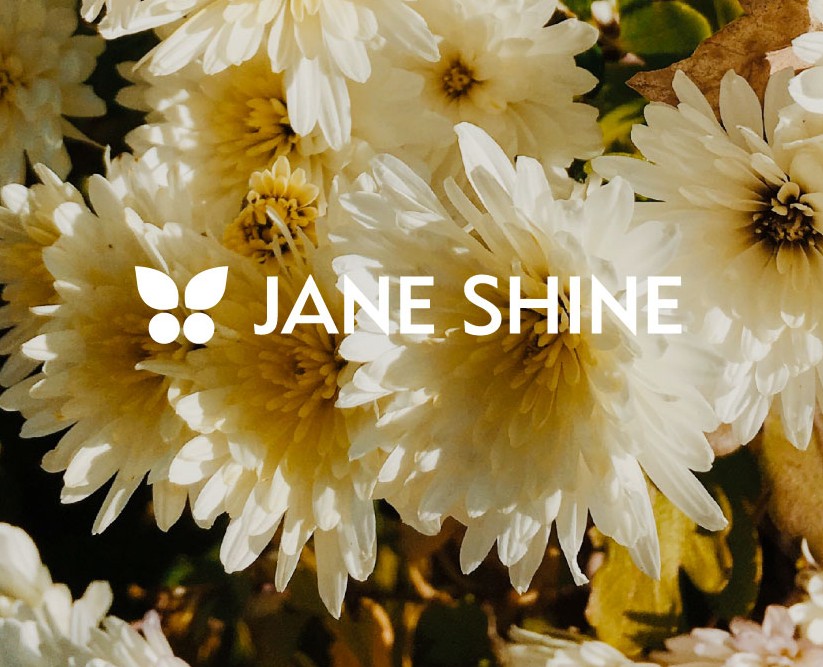 Jane Shine. Логотип, цвета, шрифт. 2023 — Брендинг на Dprofile