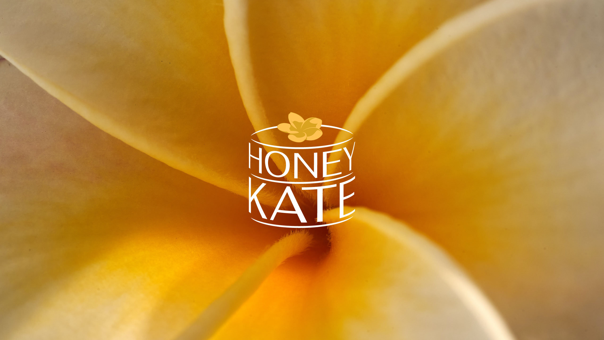 Honey Kate. Логотип, цвета, иконки, шрифт. 2024 — Изображение №4 — Брендинг на Dprofile