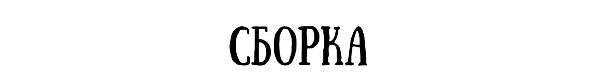 Календарь Городские птицы 2025 — Изображение №8 — Иллюстрация, Графика на Dprofile