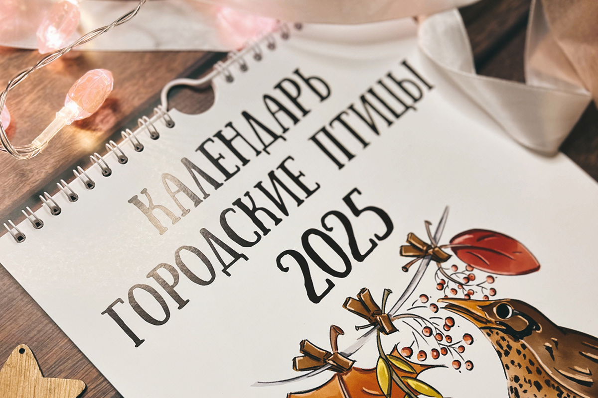 Календарь Городские птицы 2025 — Изображение №1 — Иллюстрация, Графика на Dprofile