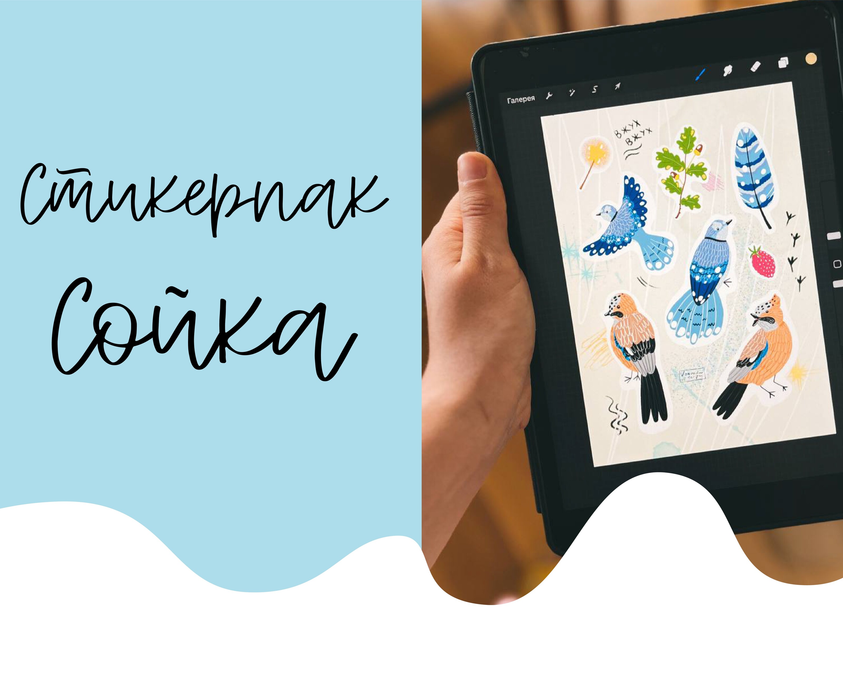 Стикерпак Сойка на Dprofile