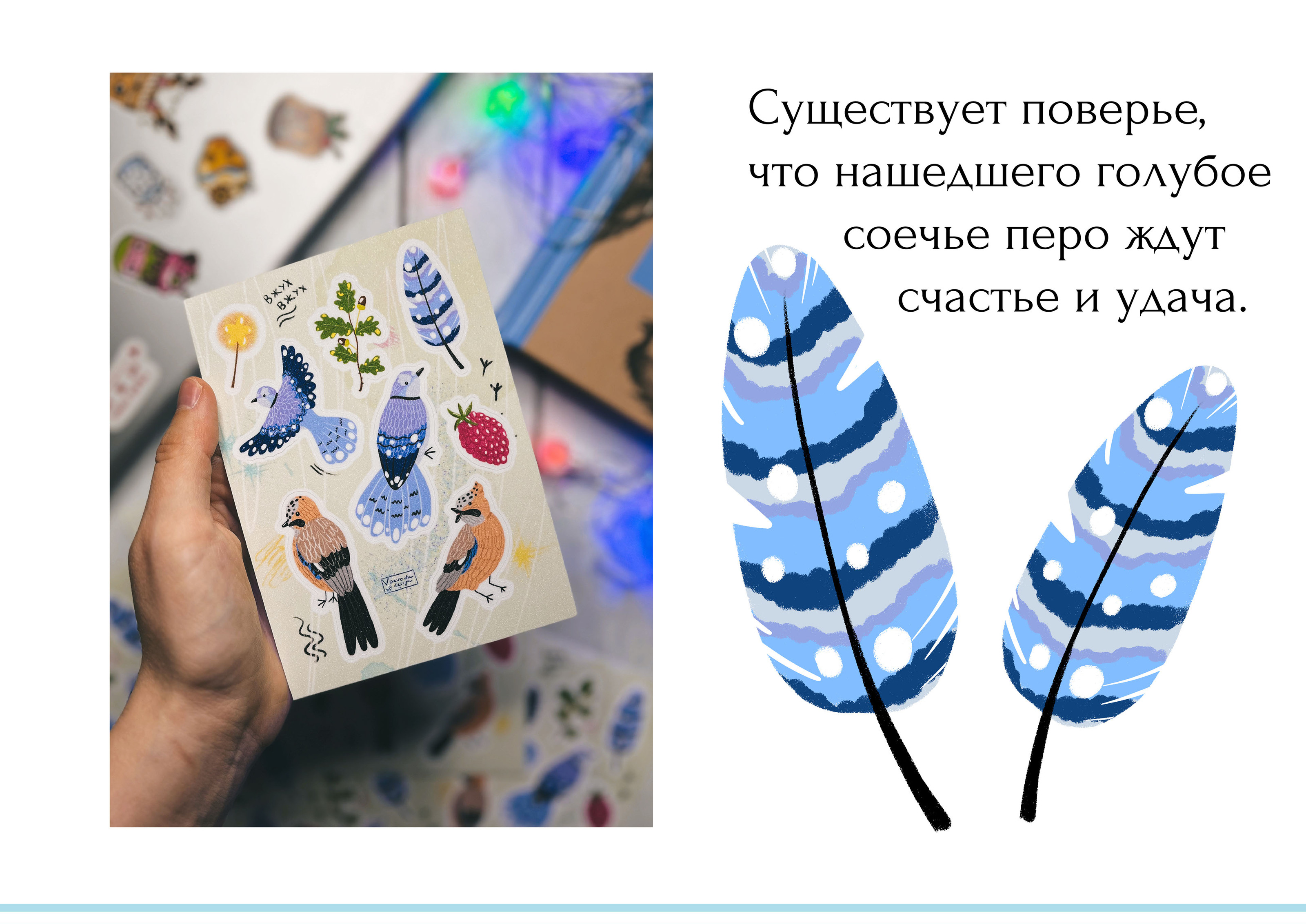 Стикерпак Сойка — Изображение №4 — Иллюстрация, Графика на Dprofile