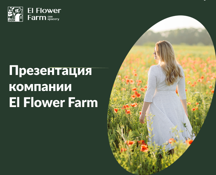 Презентация компании El Flower Farm на Dprofile