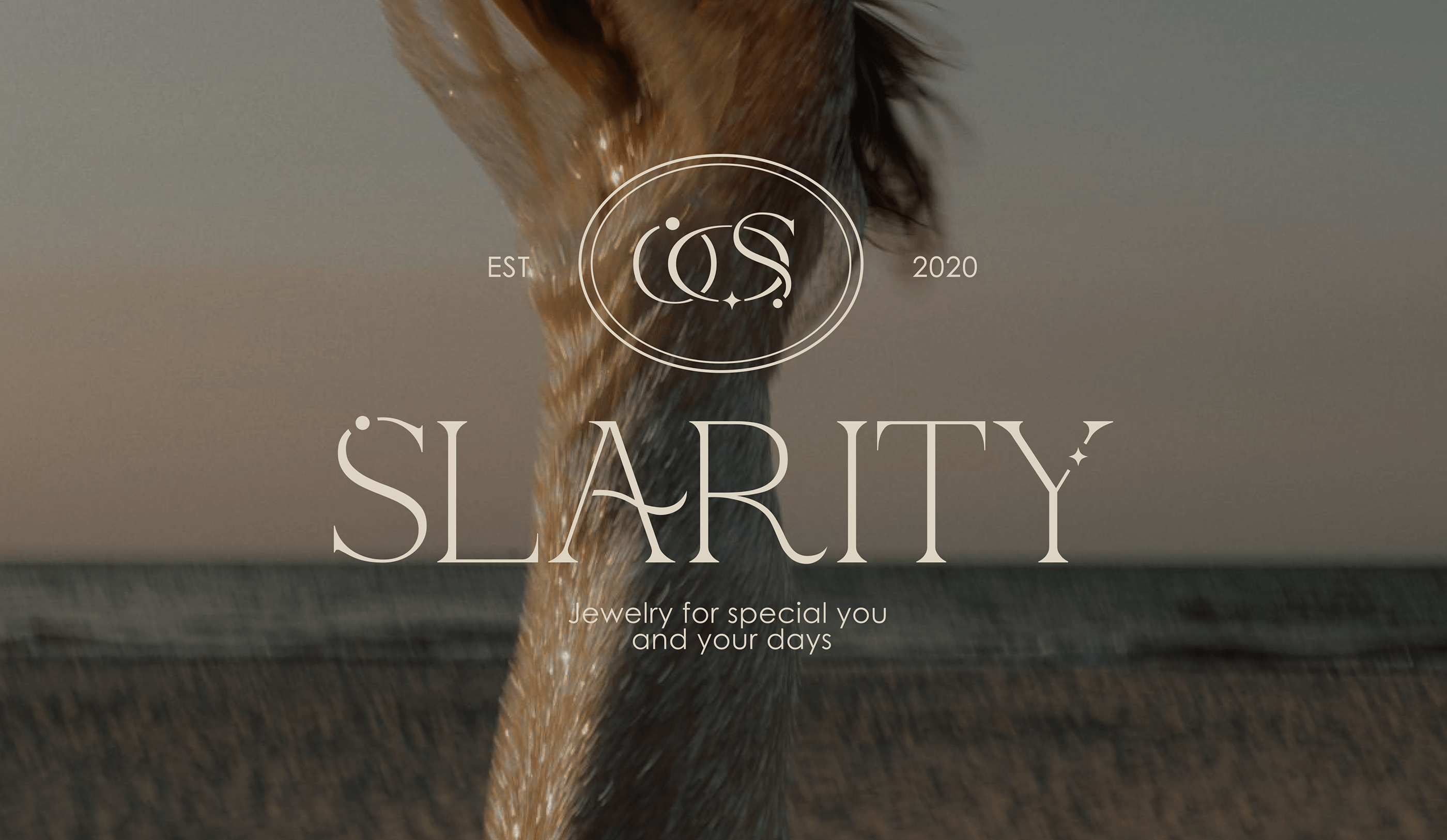 JEWELRY BRAND IDENTIFY | SLARITY ФИРМЕННЫЙ СТИЛЬ — Изображение №1 — Брендинг на Dprofile
