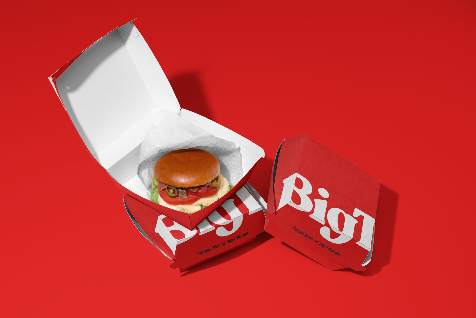 BigT Brand Identity — Изображение №13 — Интерфейсы на Dprofile