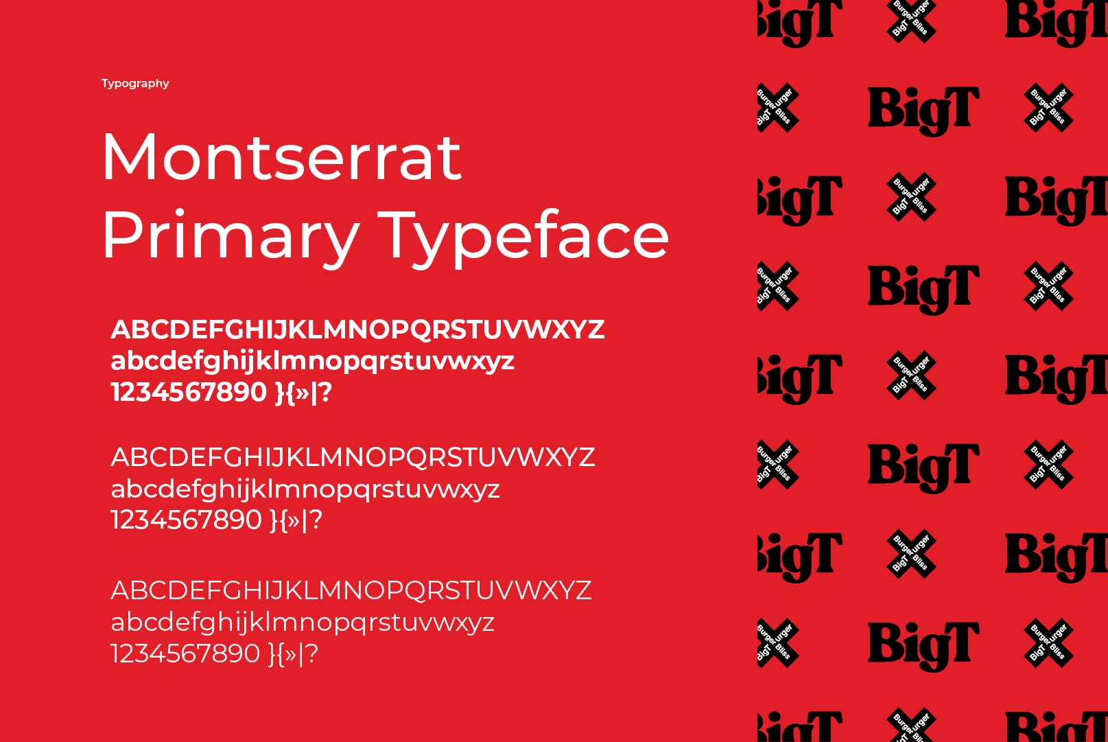 BigT Brand Identity — Изображение №6 — Интерфейсы на Dprofile