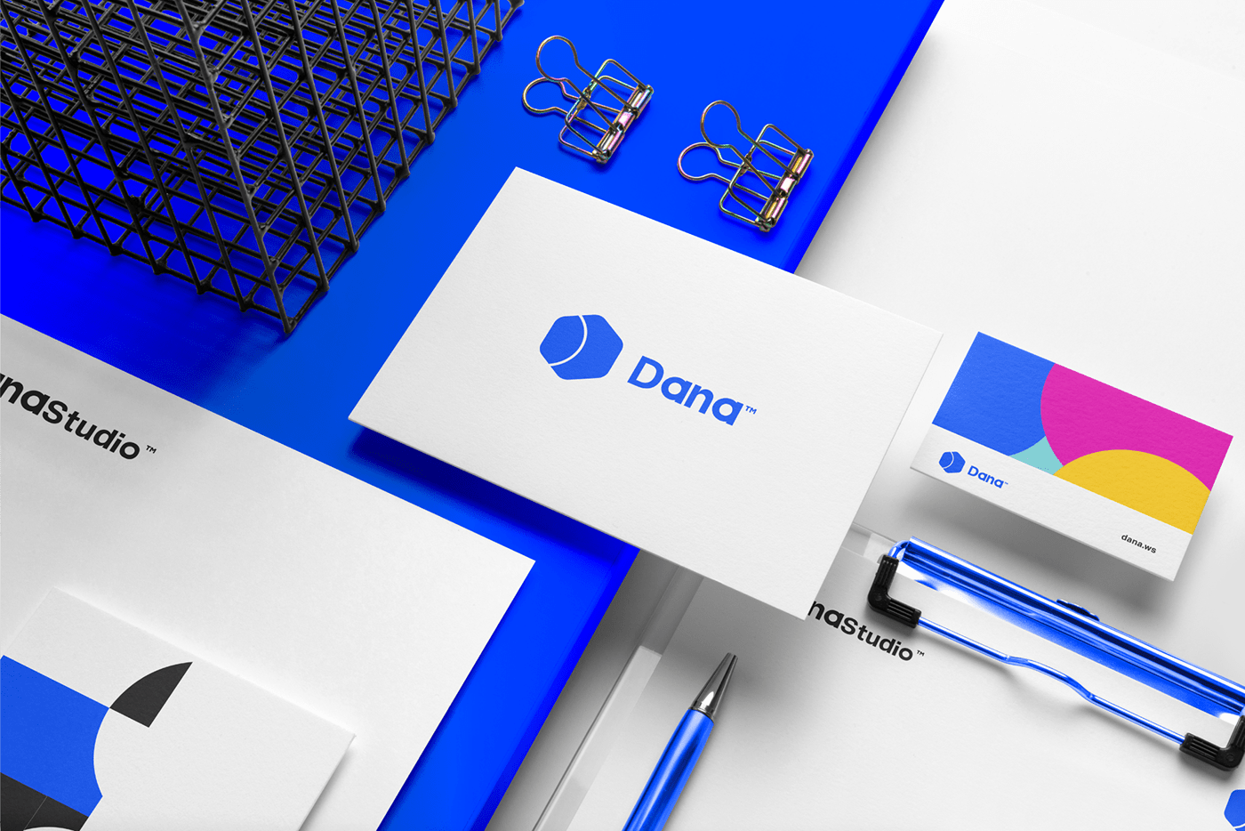 Dana Logo & Identity design — Изображение №27 — Брендинг, Иллюстрация на Dprofile
