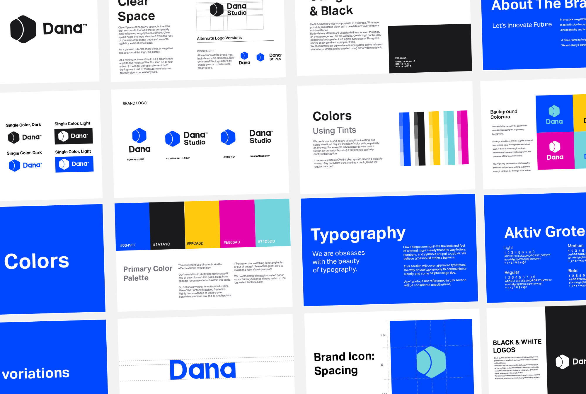 Dana Logo & Identity design — Изображение №3 — Брендинг, Иллюстрация на Dprofile