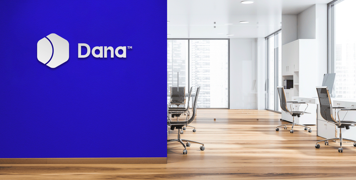 Dana Logo & Identity design — Изображение №31 — Брендинг, Иллюстрация на Dprofile