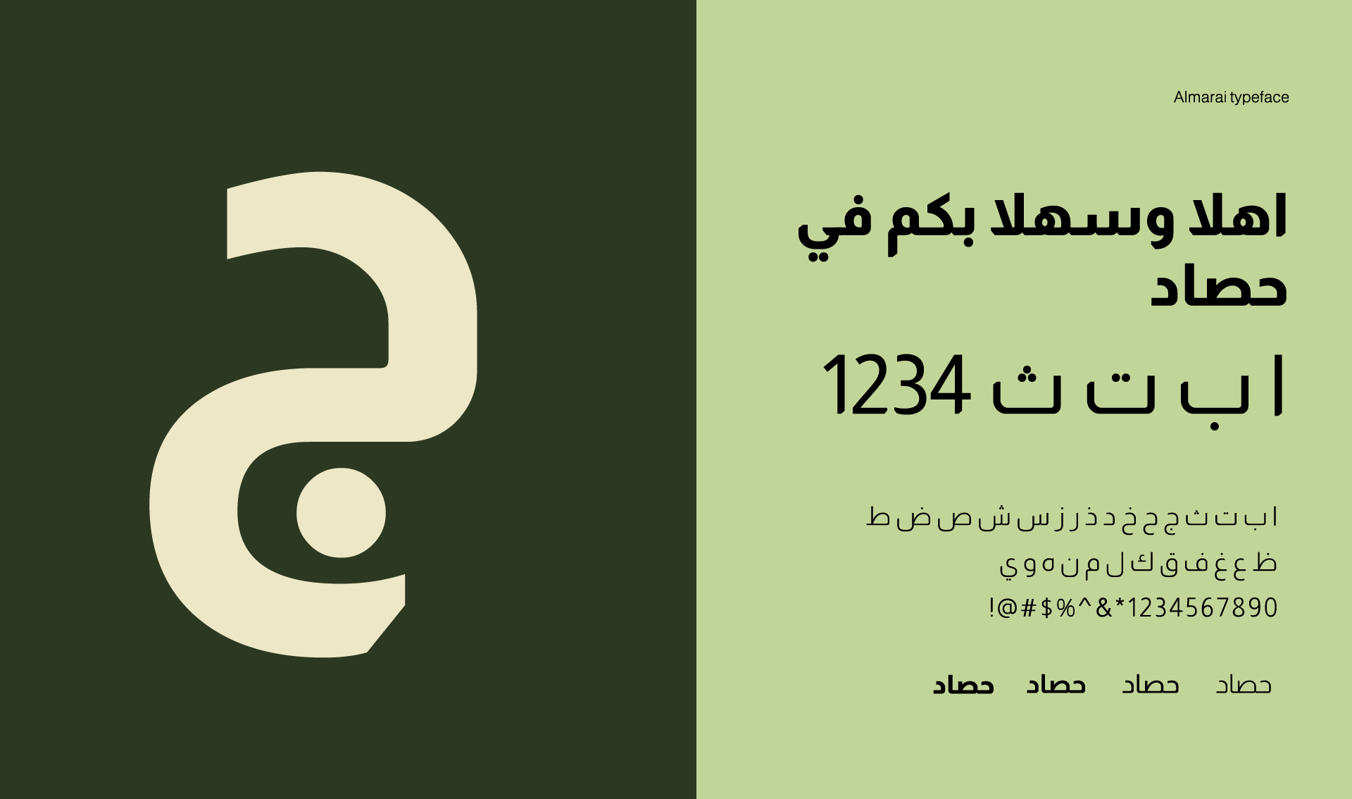 ALhasad — Изображение №12 — Брендинг на Dprofile