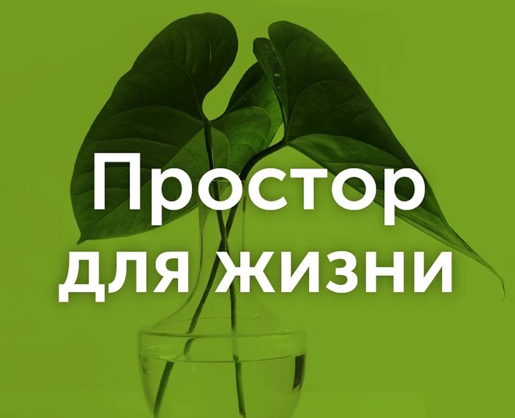 Рекламная кампания для сервиса self storage — Графика, Маркетинг на Dprofile