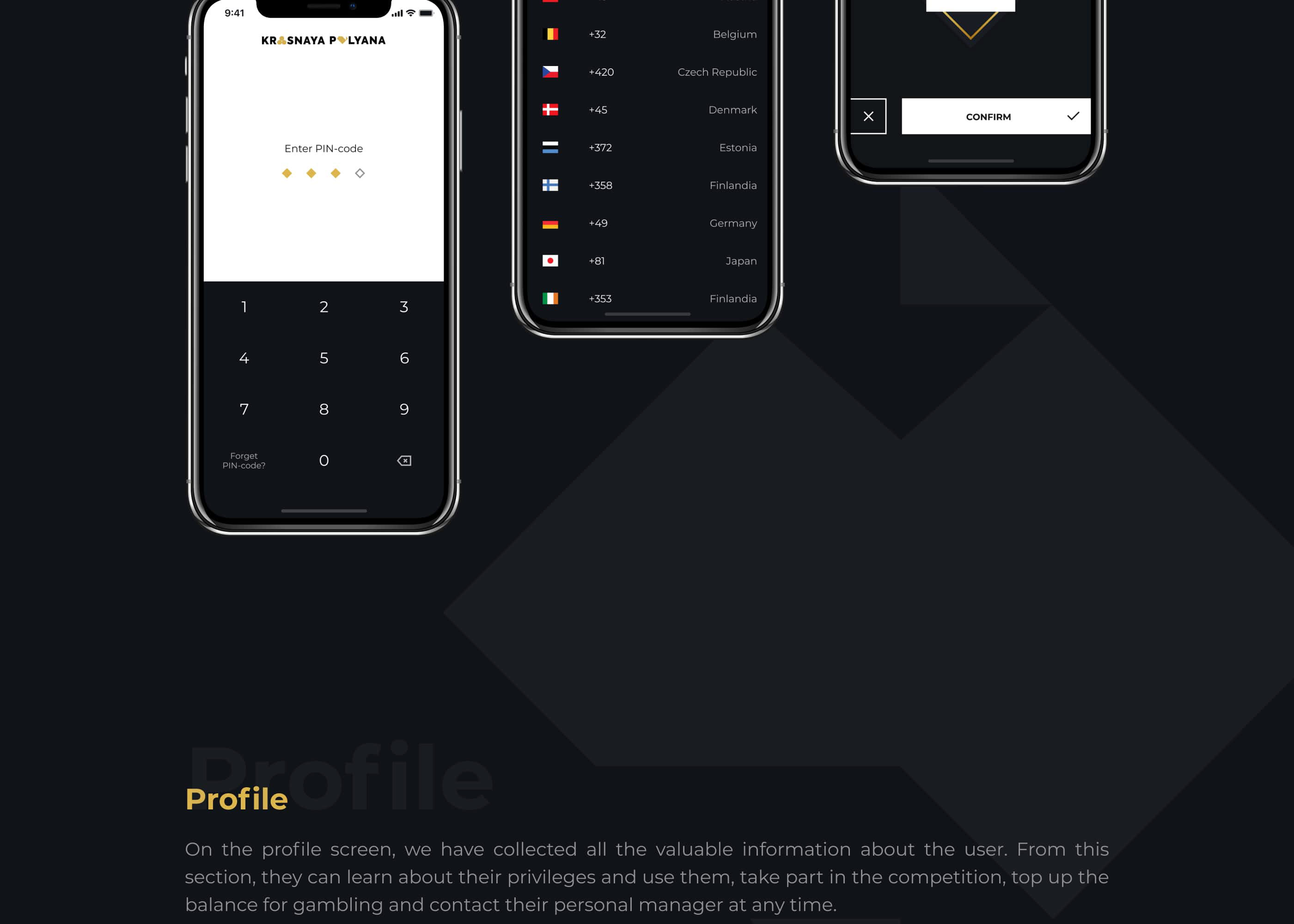 Krasnaya Polyana — Изображение №4 — Интерфейсы, Брендинг, Графика на Dprofile