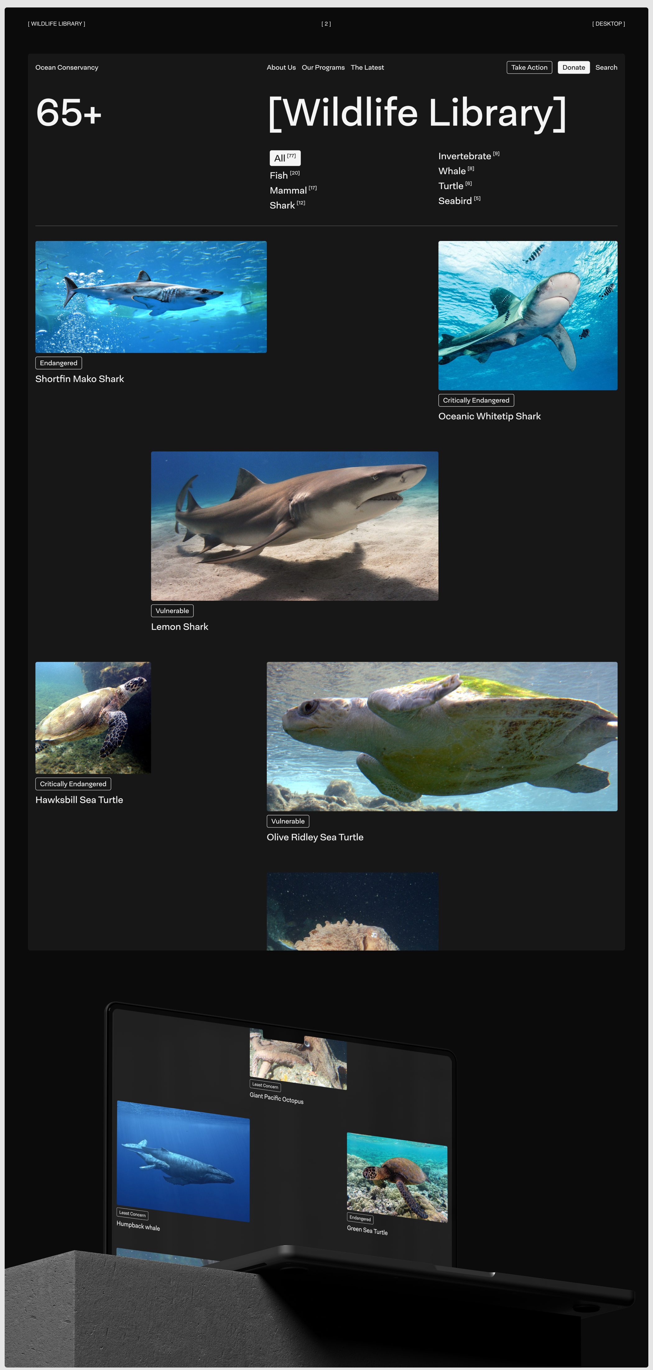 Ocean Conservancy | Website Redesign — Изображение №2 — Интерфейсы на Dprofile