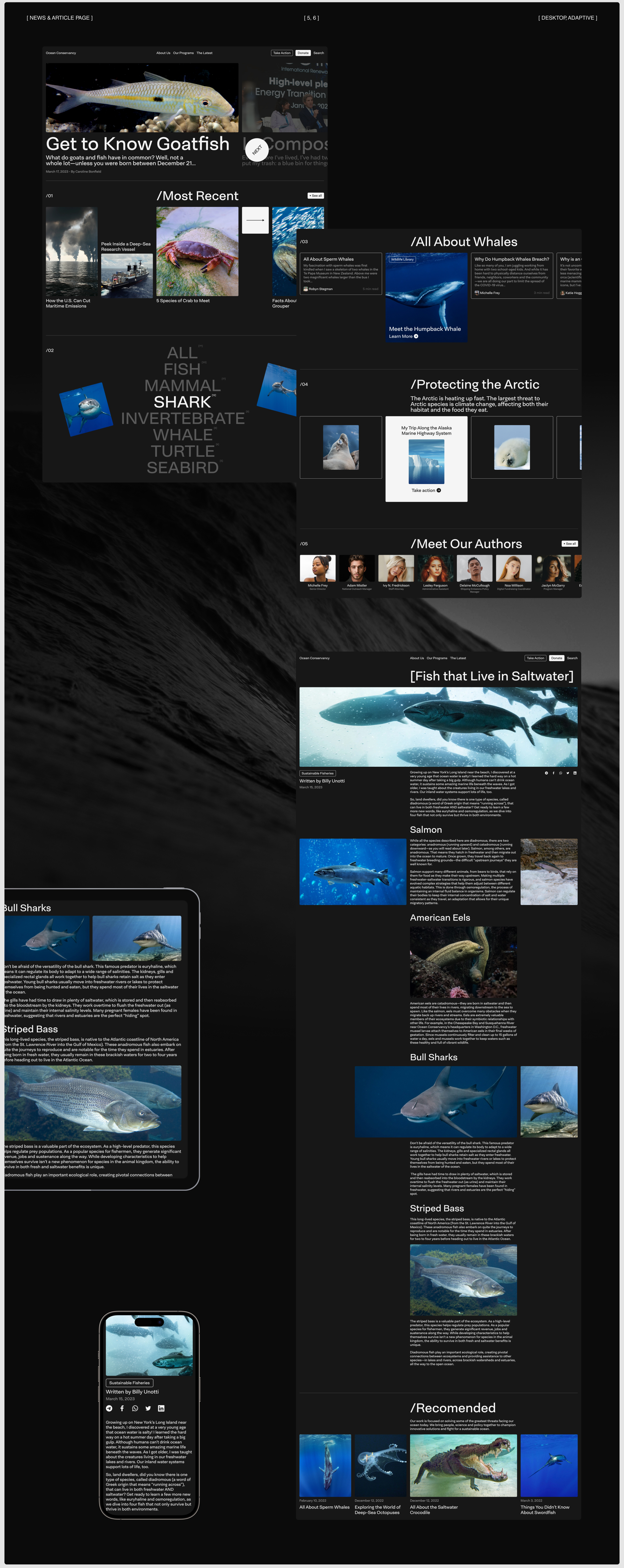 Ocean Conservancy | Website Redesign — Изображение №4 — Интерфейсы на Dprofile