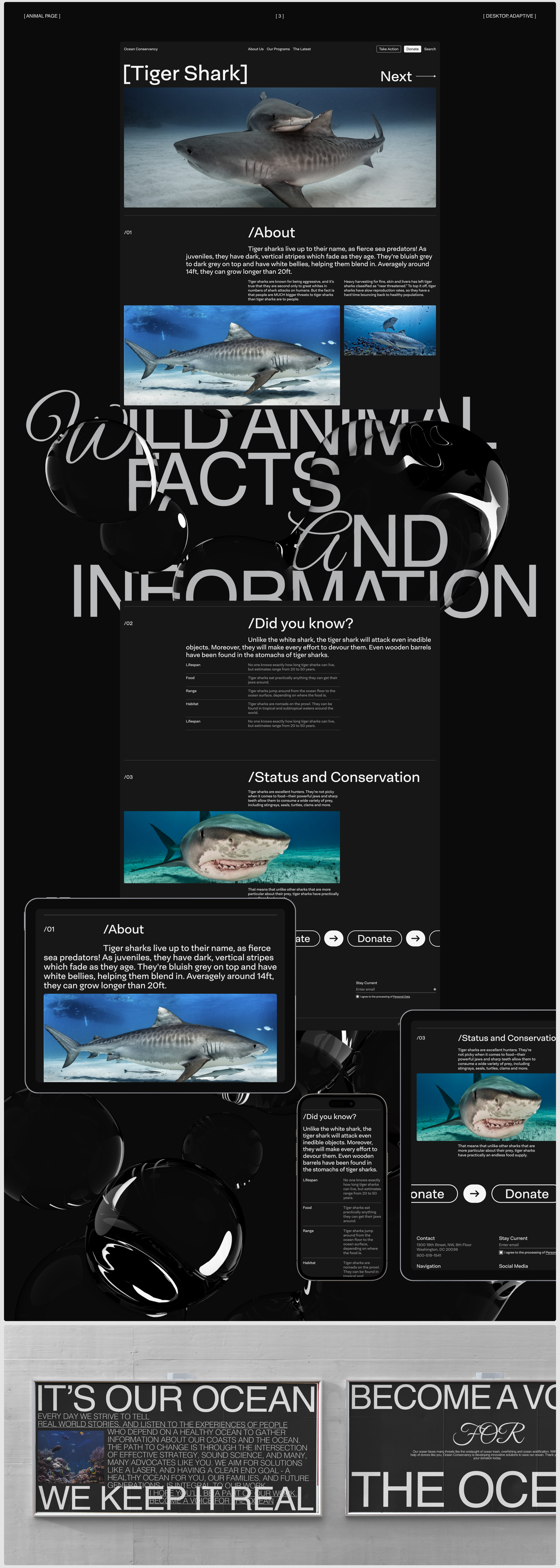 Ocean Conservancy | Website Redesign — Изображение №3 — Интерфейсы на Dprofile
