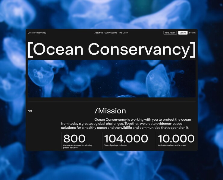 Ocean Conservancy | Website Redesign — Интерфейсы на Dprofile