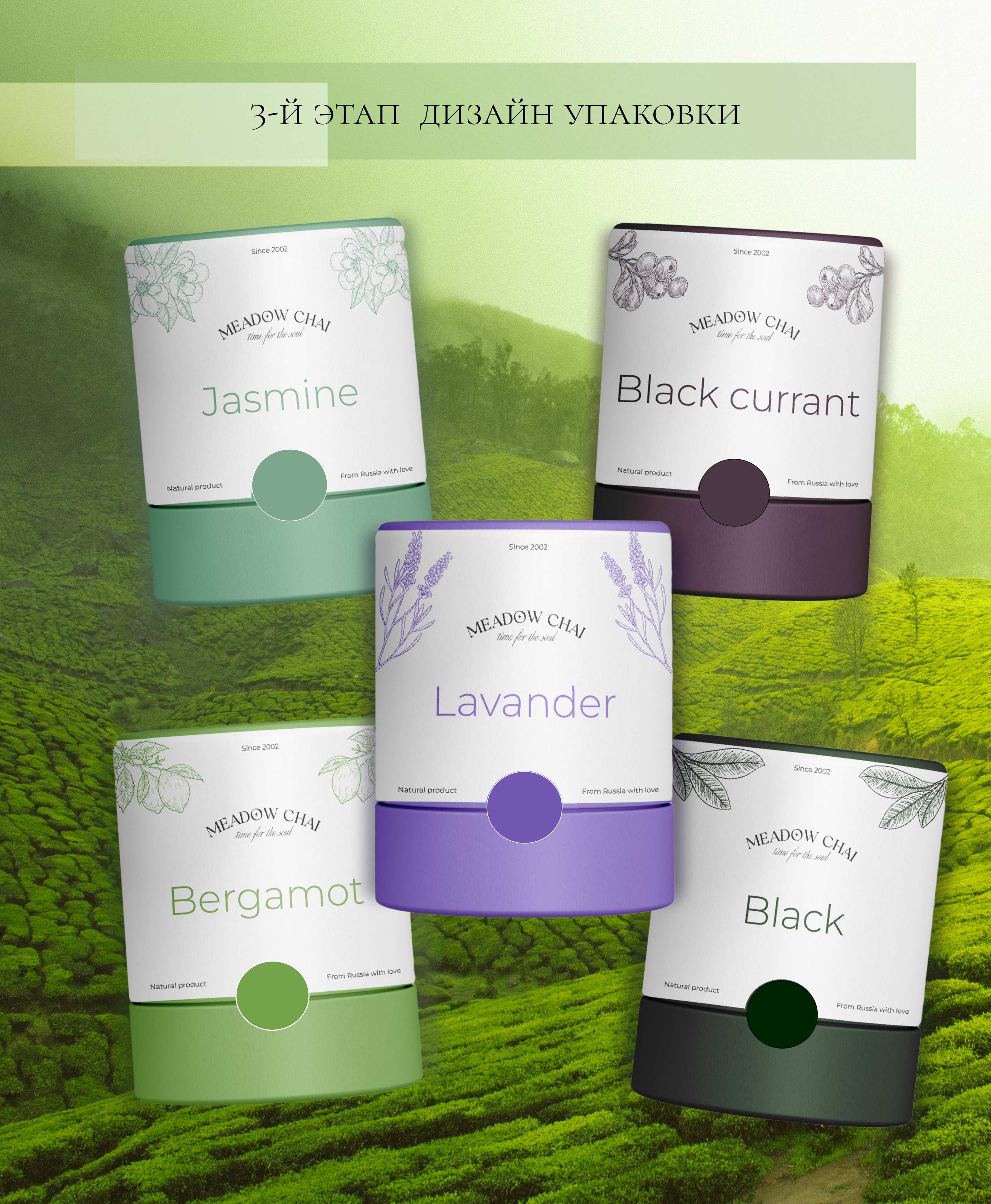 Фирменный стиль|Упаковка|Интернет -магазин — Изображение №3 — Брендинг, Графика на Dprofile