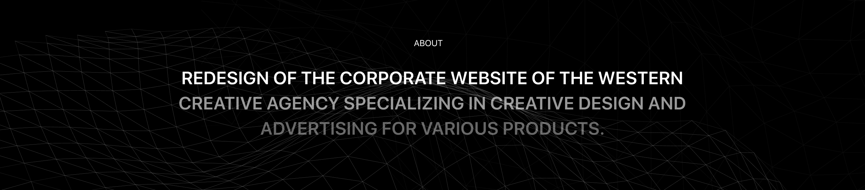 WESTERN/редизайн корпоративного веб сайта E-commerce — Изображение №2 — Интерфейсы, Брендинг на Dprofile