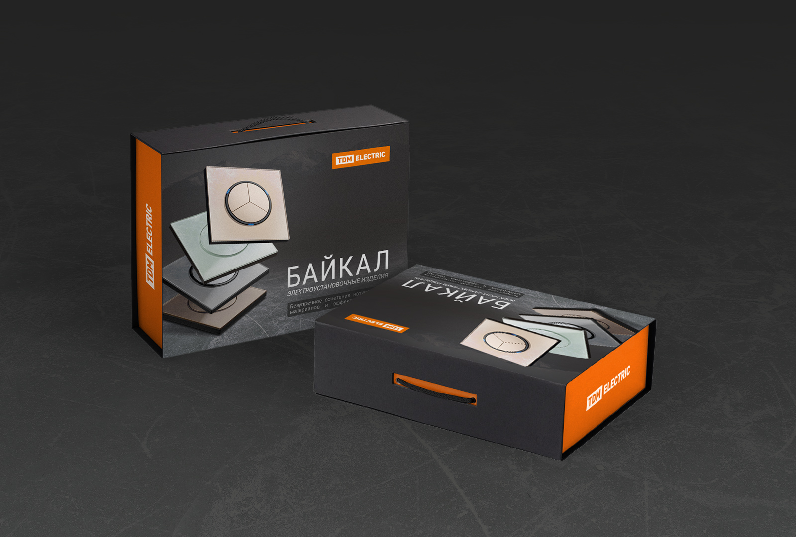 TDM ELECTRIC/BAIKAL — Изображение №2 — Графика, Маркетинг на Dprofile