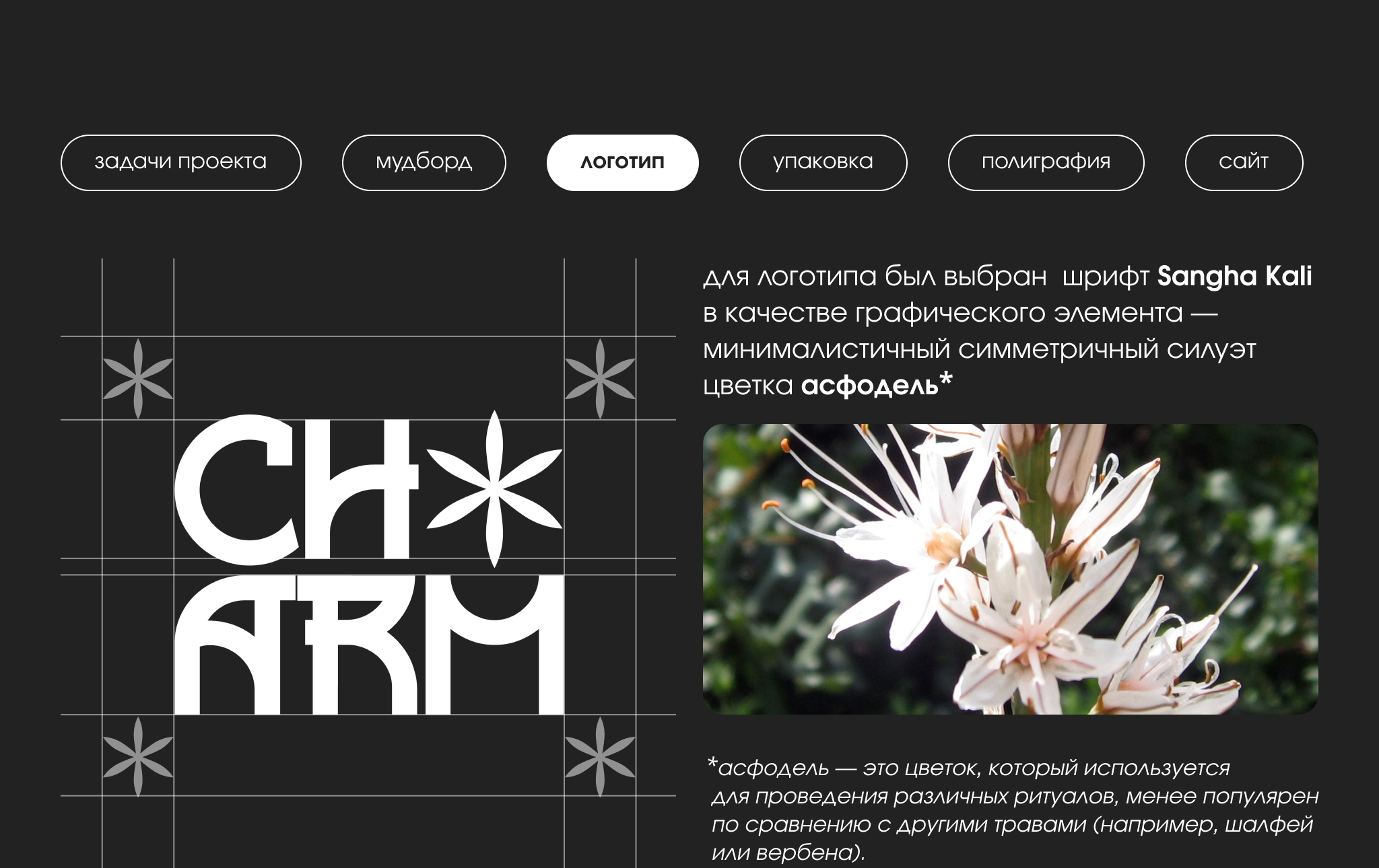 Фирменный стиль для бренда украшений — Изображение №5 — Брендинг на Dprofile