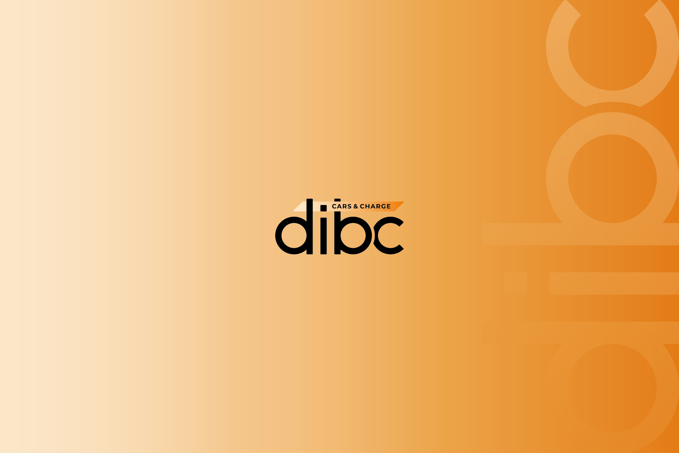 DIBC / BRAND IDENTITY — Изображение №2 — Брендинг на Dprofile