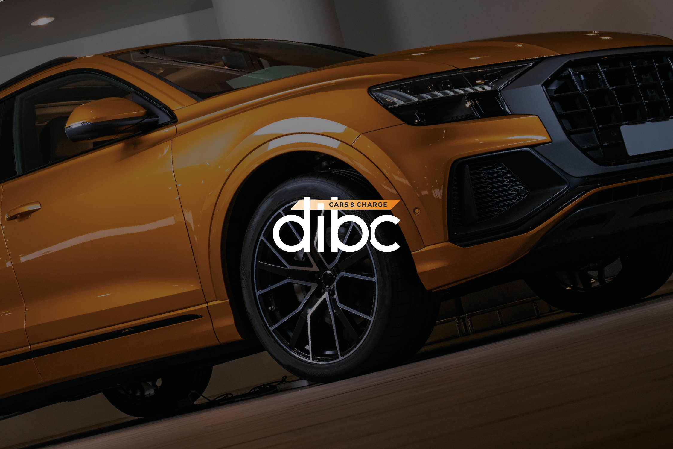 DIBC / BRAND IDENTITY — Изображение №1 — Брендинг на Dprofile