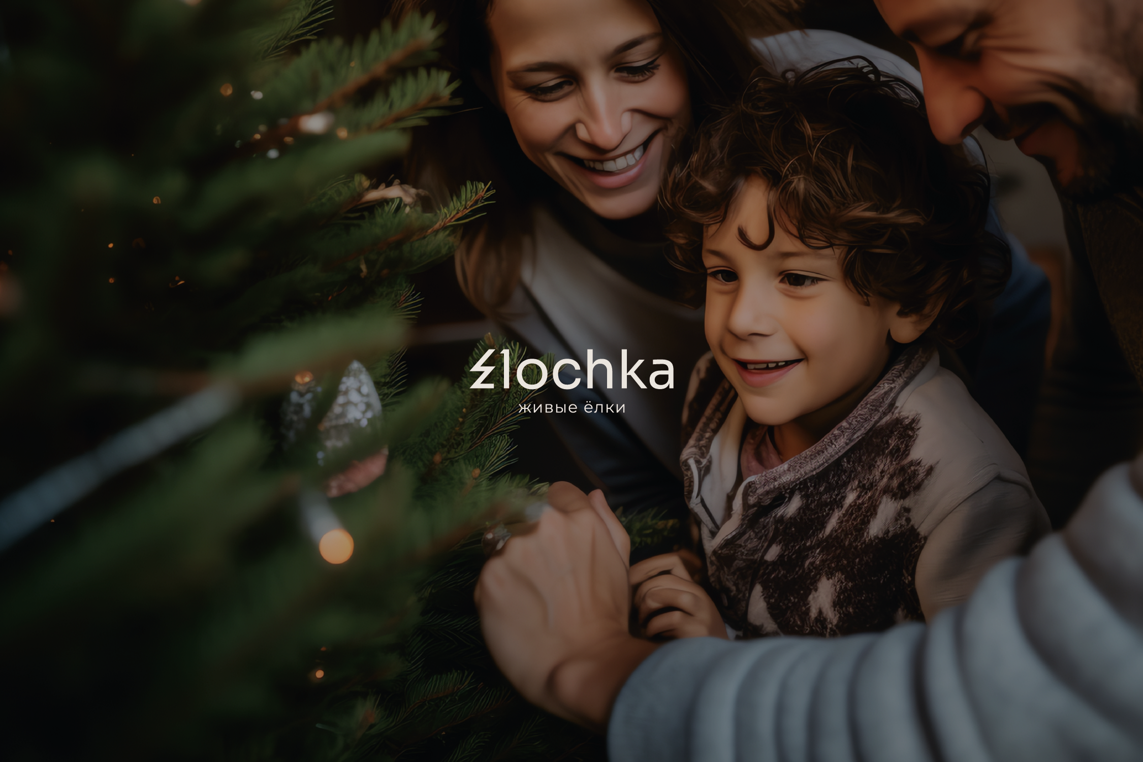 Фирменный стиль / Elochka — Изображение №1 — Брендинг на Dprofile