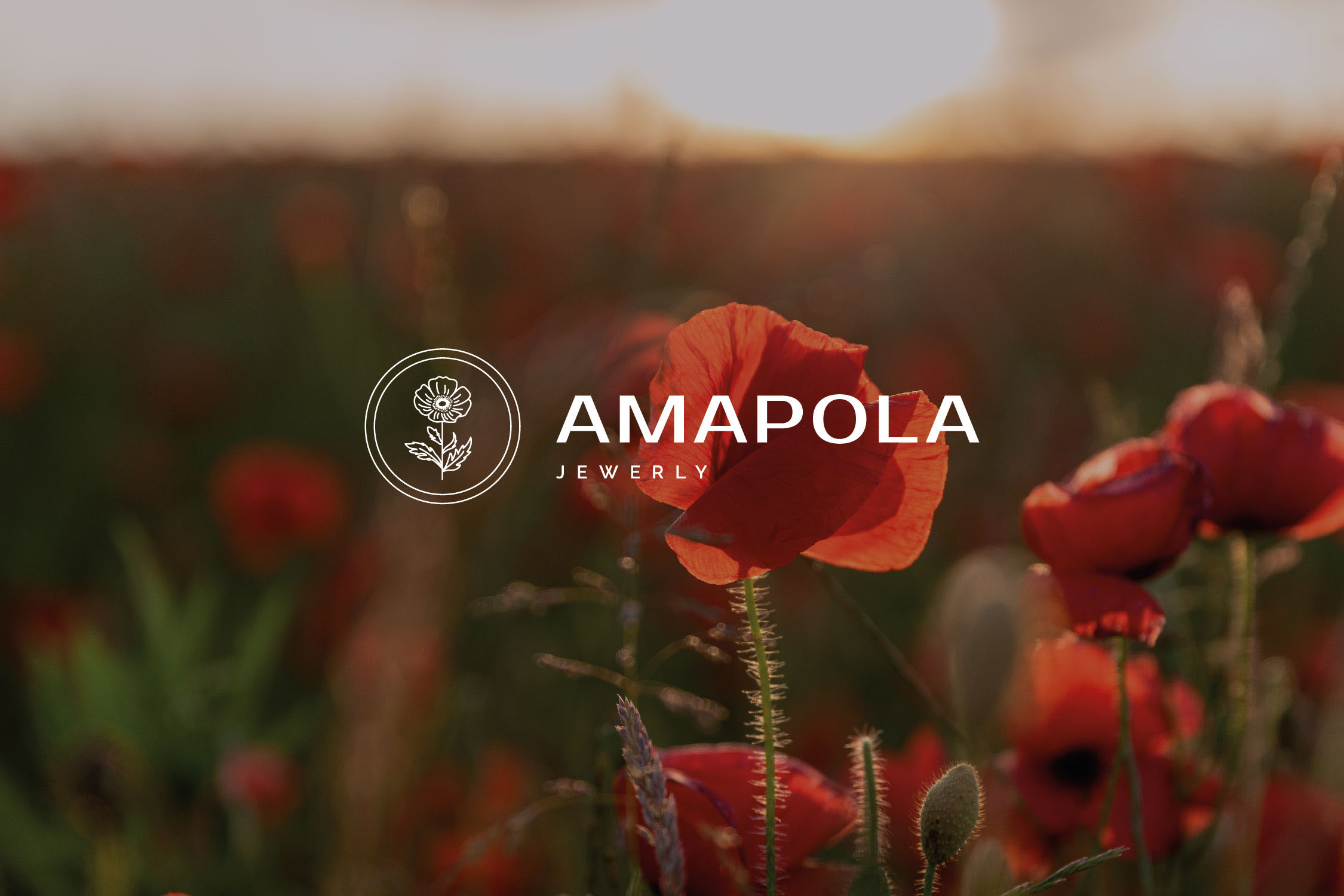 AMAPOLA/LOGO — Изображение №8 — Брендинг на Dprofile