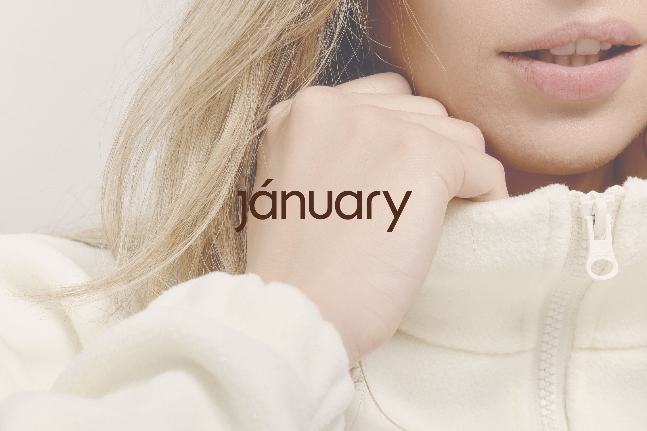 JANUARY/BRAND IDENTITY — Изображение №1 — Брендинг на Dprofile