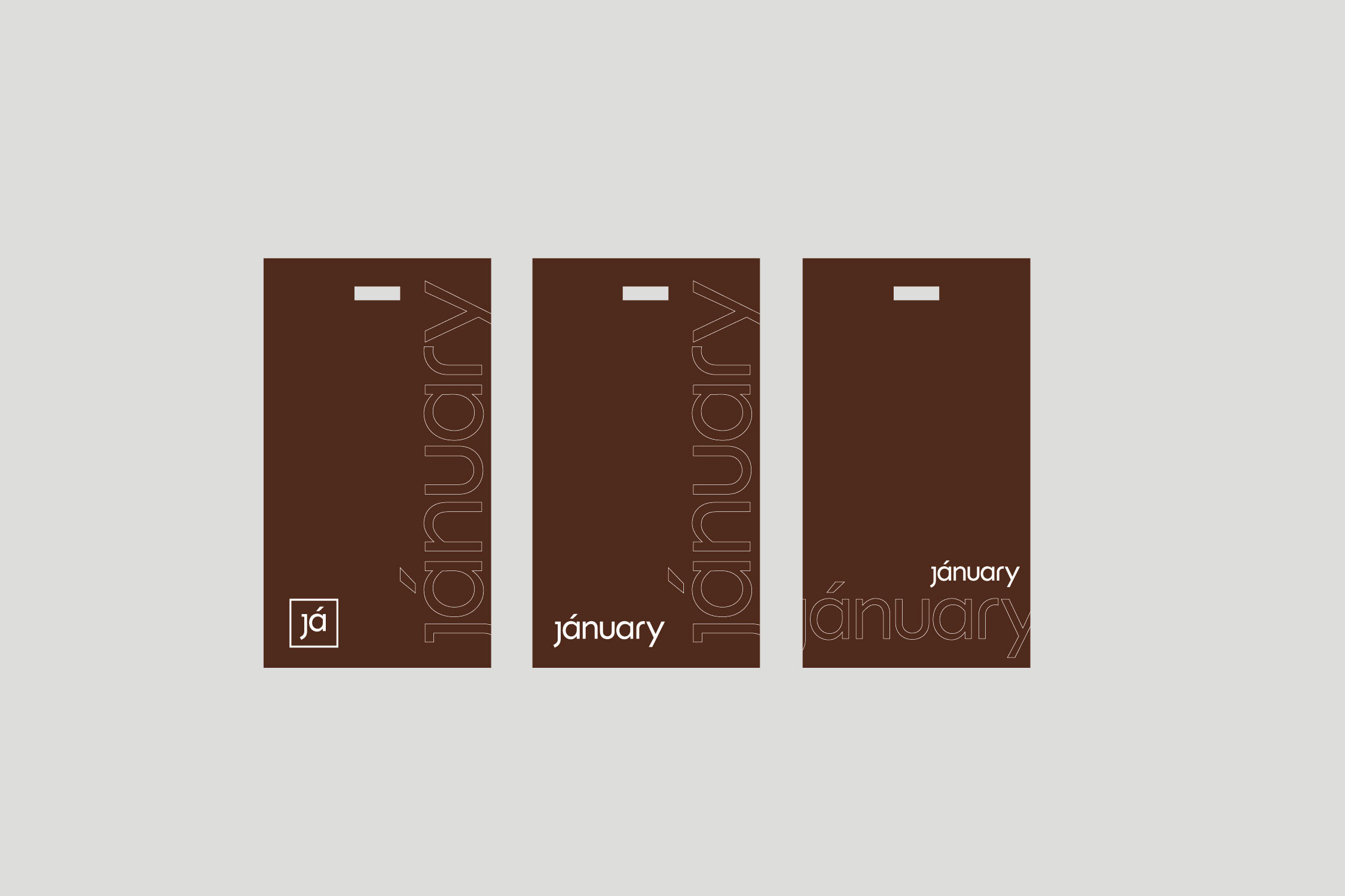 JANUARY/BRAND IDENTITY — Изображение №6 — Брендинг на Dprofile