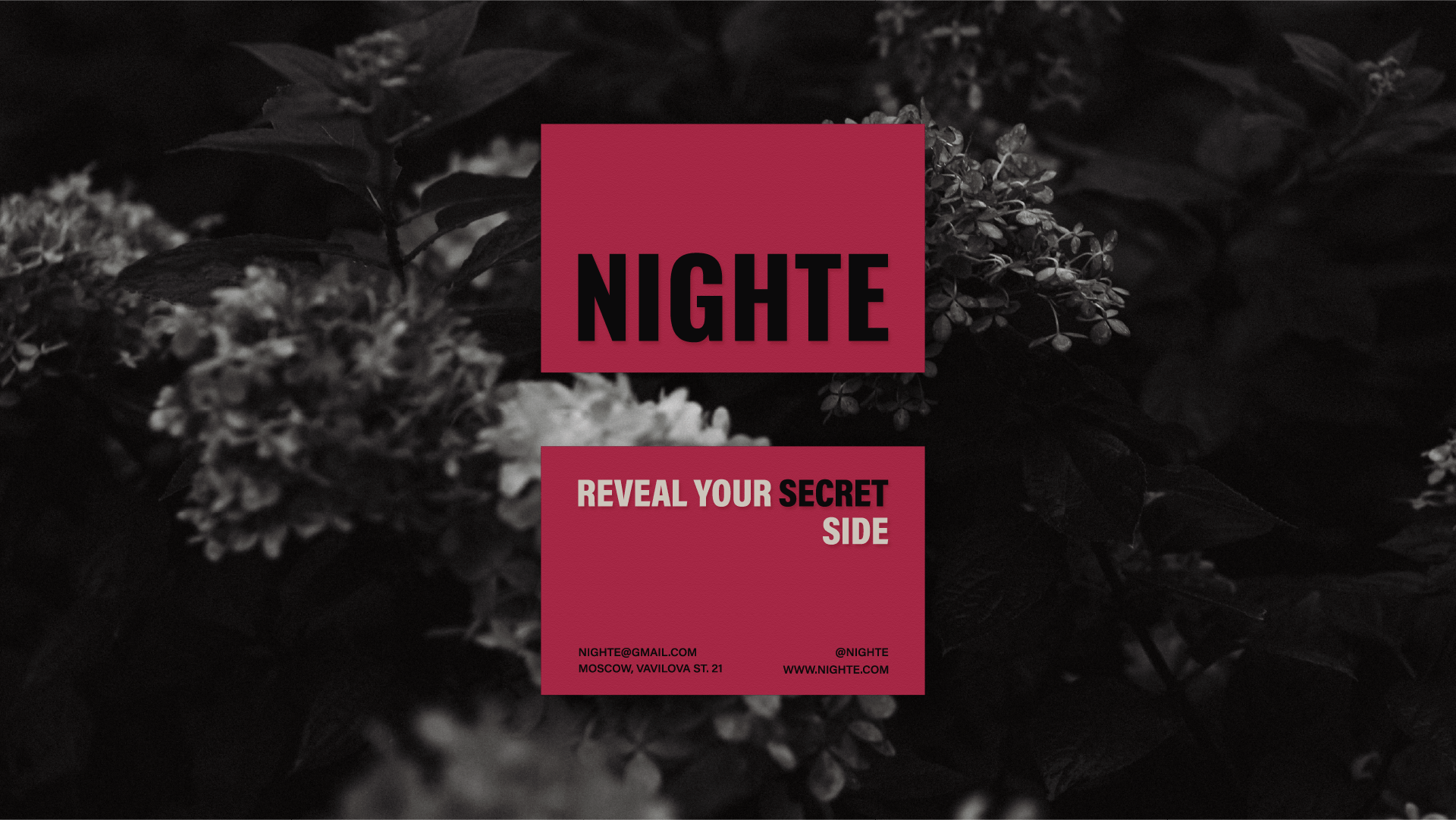 NIGHTE / LINGERIE / LOGOTYPE / BRAND IDENTITY — Изображение №8 — Брендинг на Dprofile