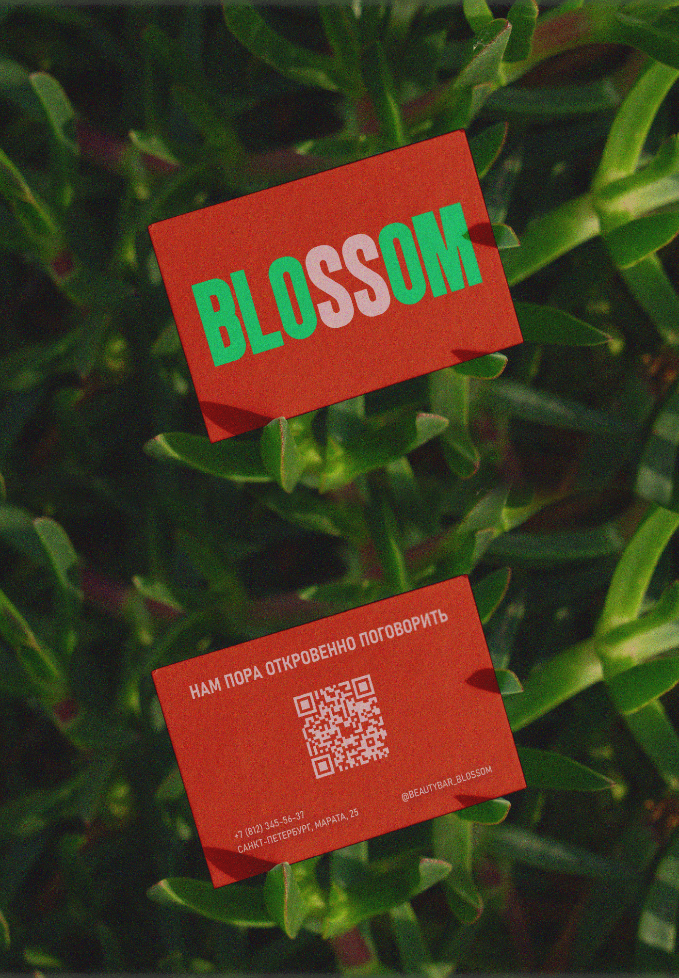 BLOSSOM/ BEAUTY BAR / VISUAL IDENTITY/ LOGOTYPE — Изображение №11 — Брендинг на Dprofile