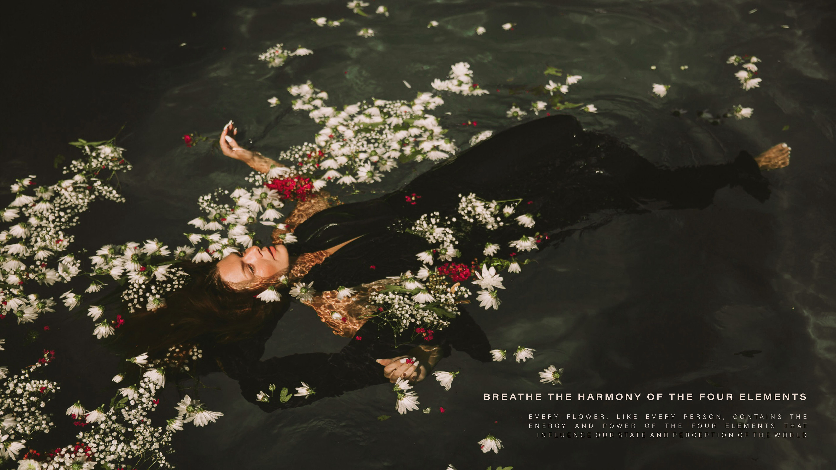 BUDS&PETALS / FLOWER BOUTIQUE / BRAND IDENTITY — Изображение №12 — Брендинг на Dprofile