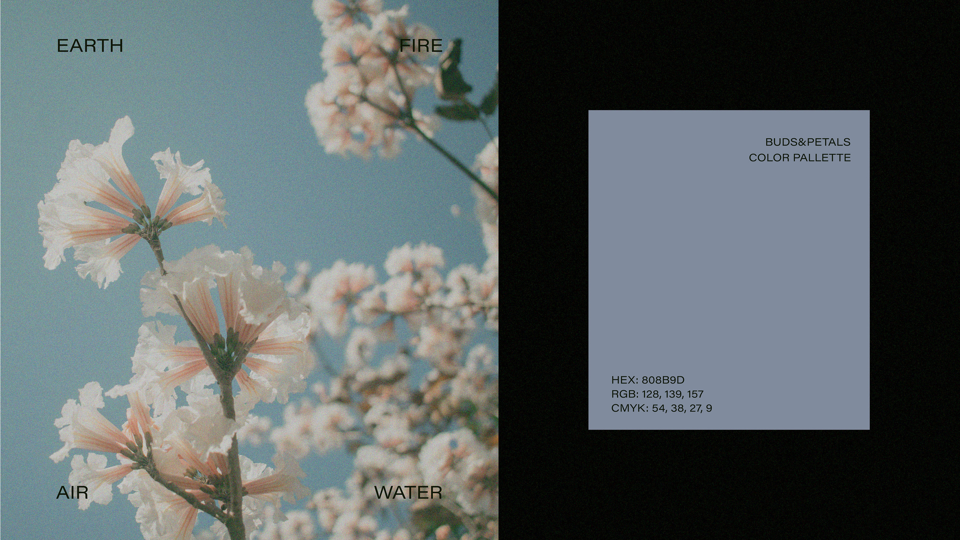 BUDS&PETALS / FLOWER BOUTIQUE / BRAND IDENTITY — Изображение №7 — Брендинг на Dprofile