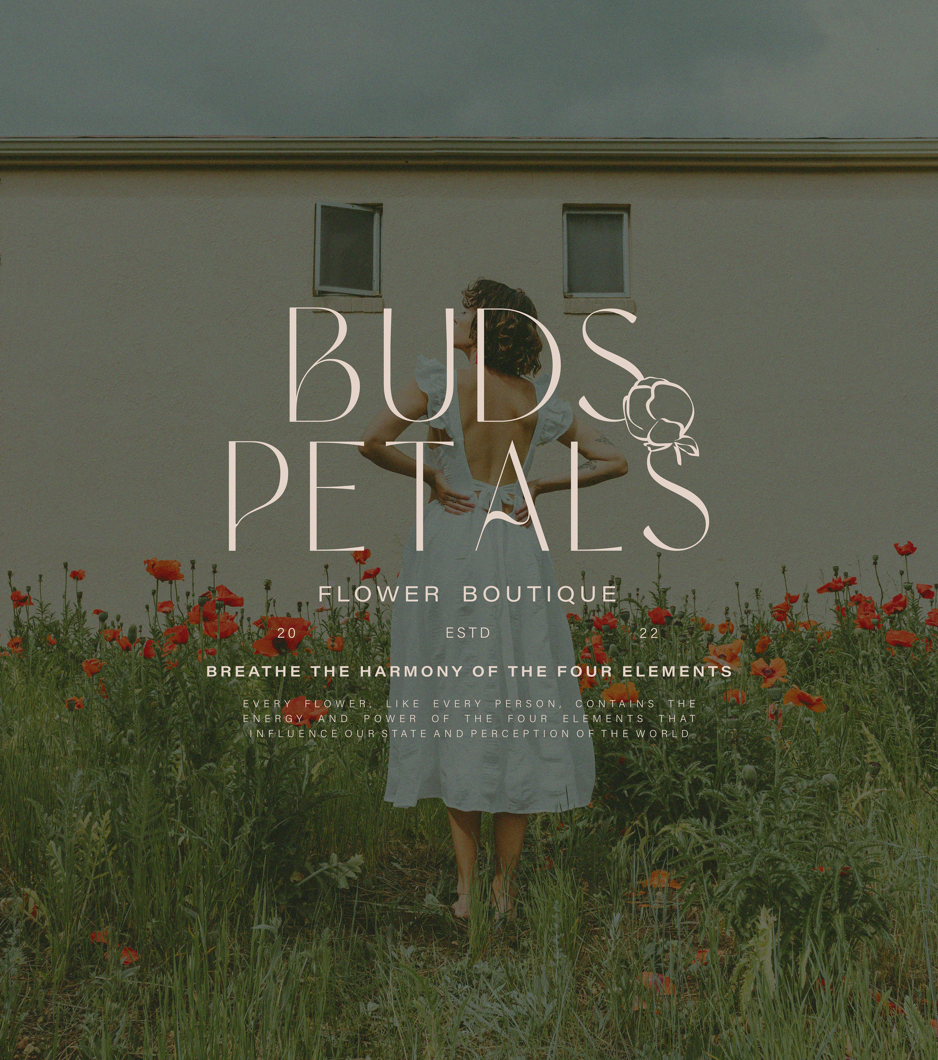 BUDS&PETALS / FLOWER BOUTIQUE / BRAND IDENTITY — Изображение №1 — Брендинг на Dprofile
