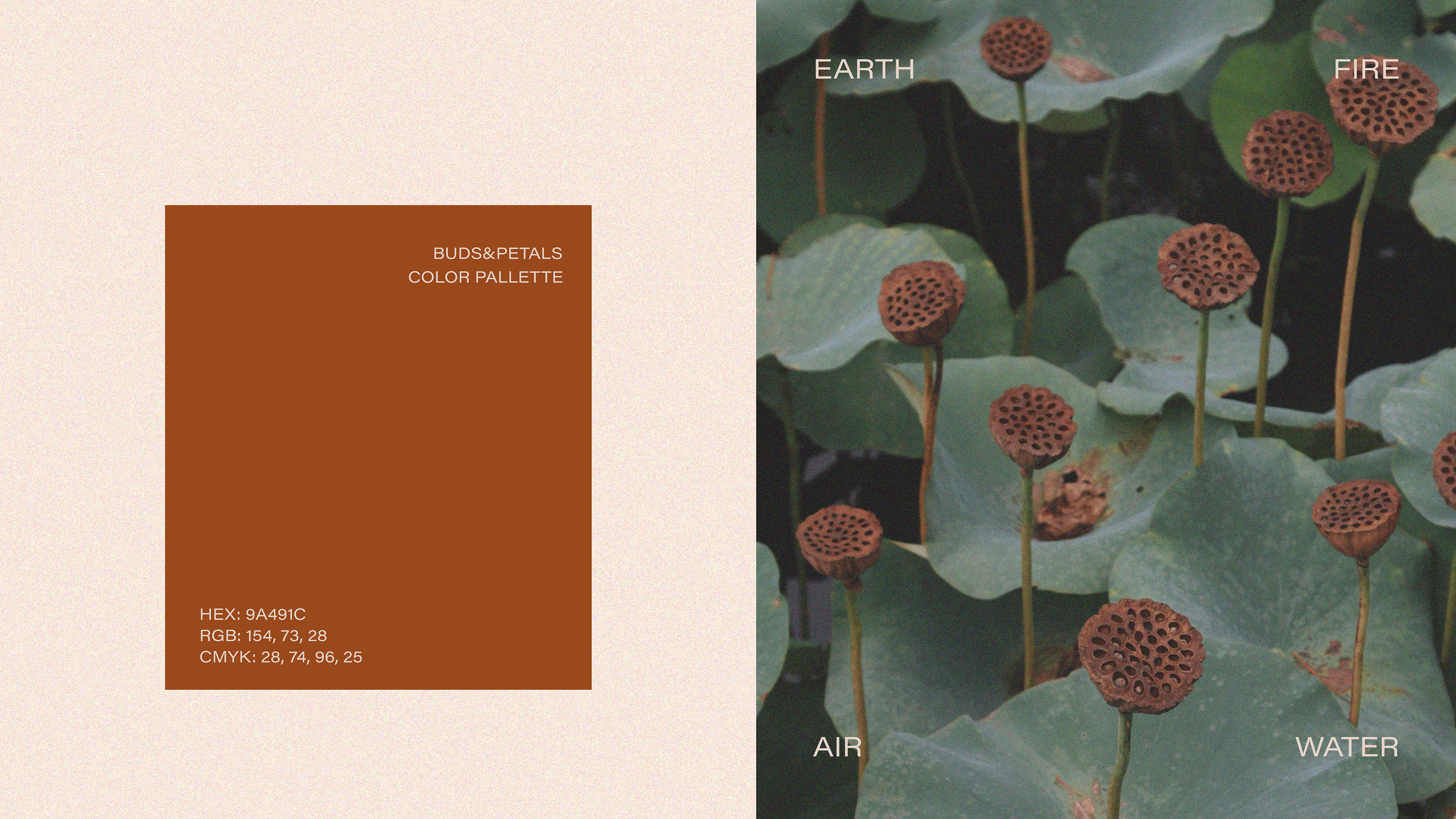 BUDS&PETALS / FLOWER BOUTIQUE / BRAND IDENTITY — Изображение №9 — Брендинг на Dprofile