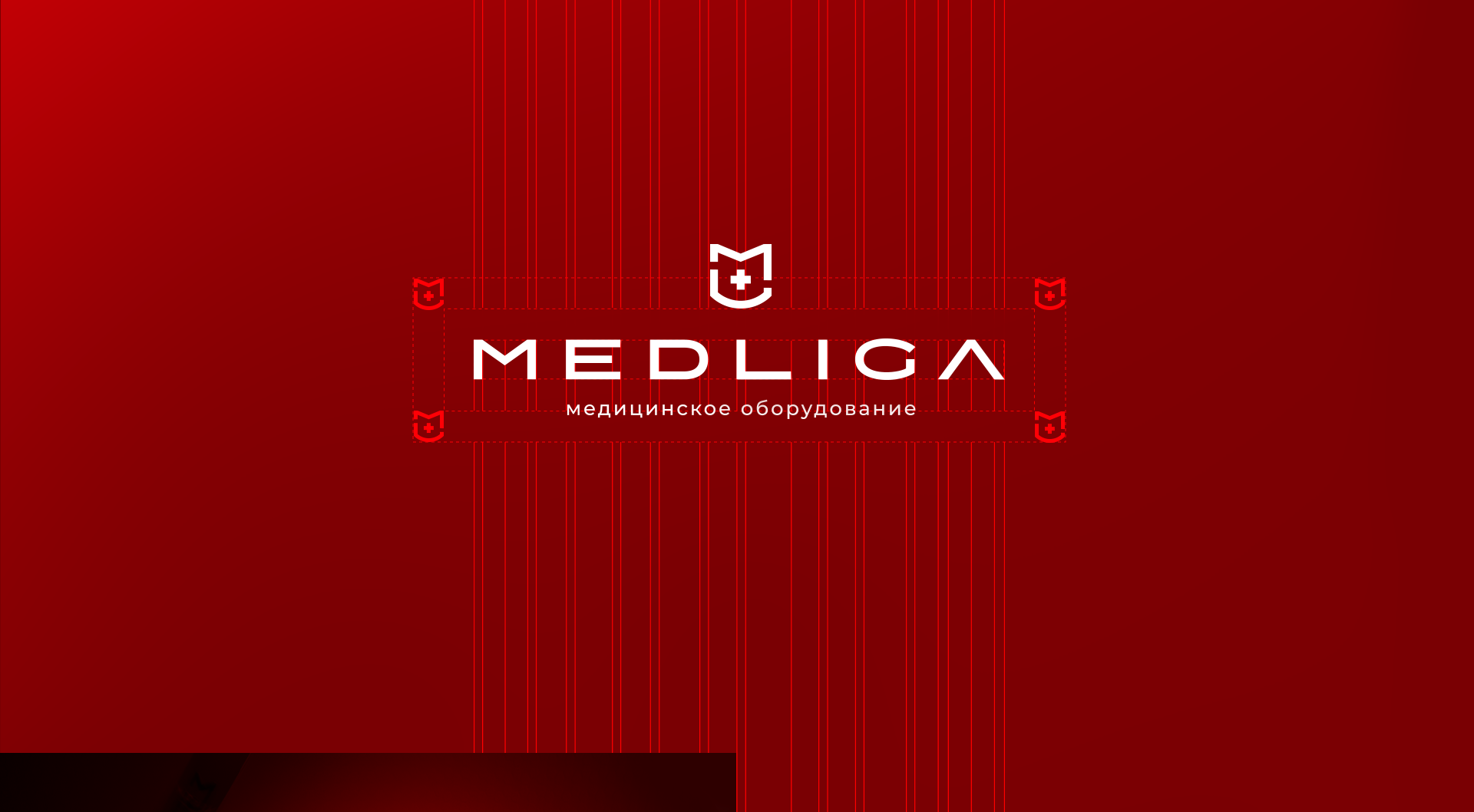 MEDLIGA — Logo & Brand identity — Изображение №4 — Брендинг на Dprofile