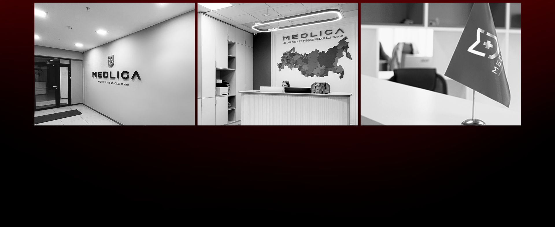 MEDLIGA — Logo & Brand identity — Изображение №12 — Брендинг на Dprofile
