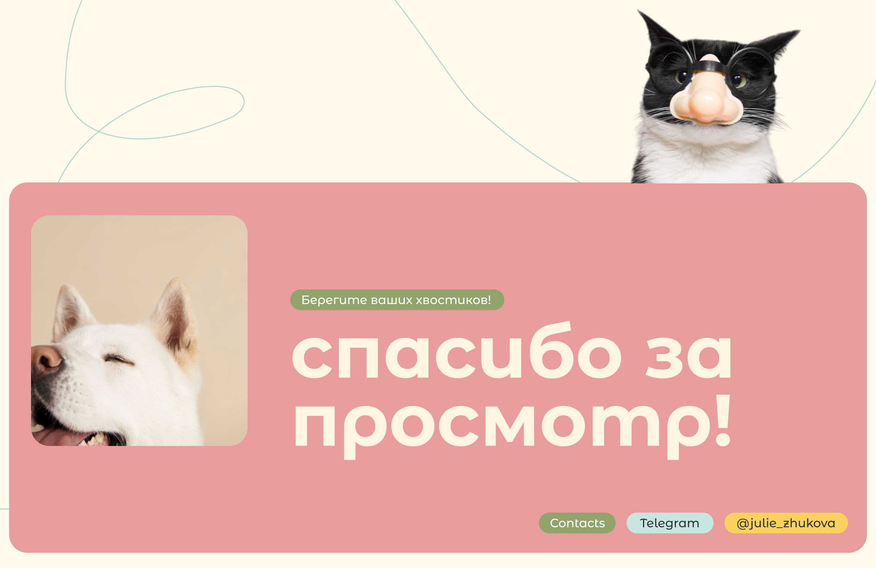 Pet shelter / Приют для домашних животных — Изображение №12 — Интерфейсы, Иллюстрация на Dprofile