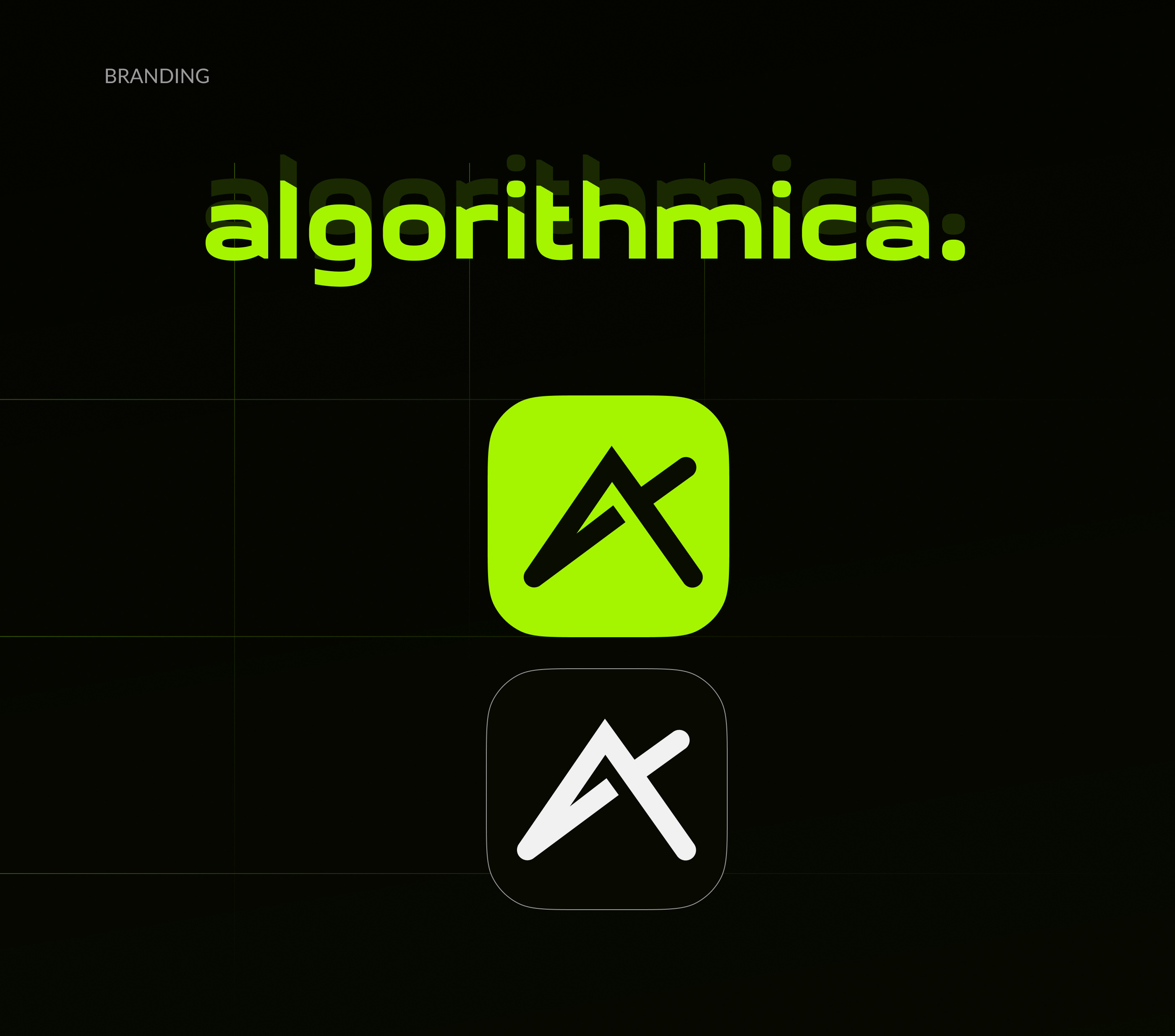 Algorithmica | Productpage website 2023 — Изображение №3 — Интерфейсы, Брендинг на Dprofile