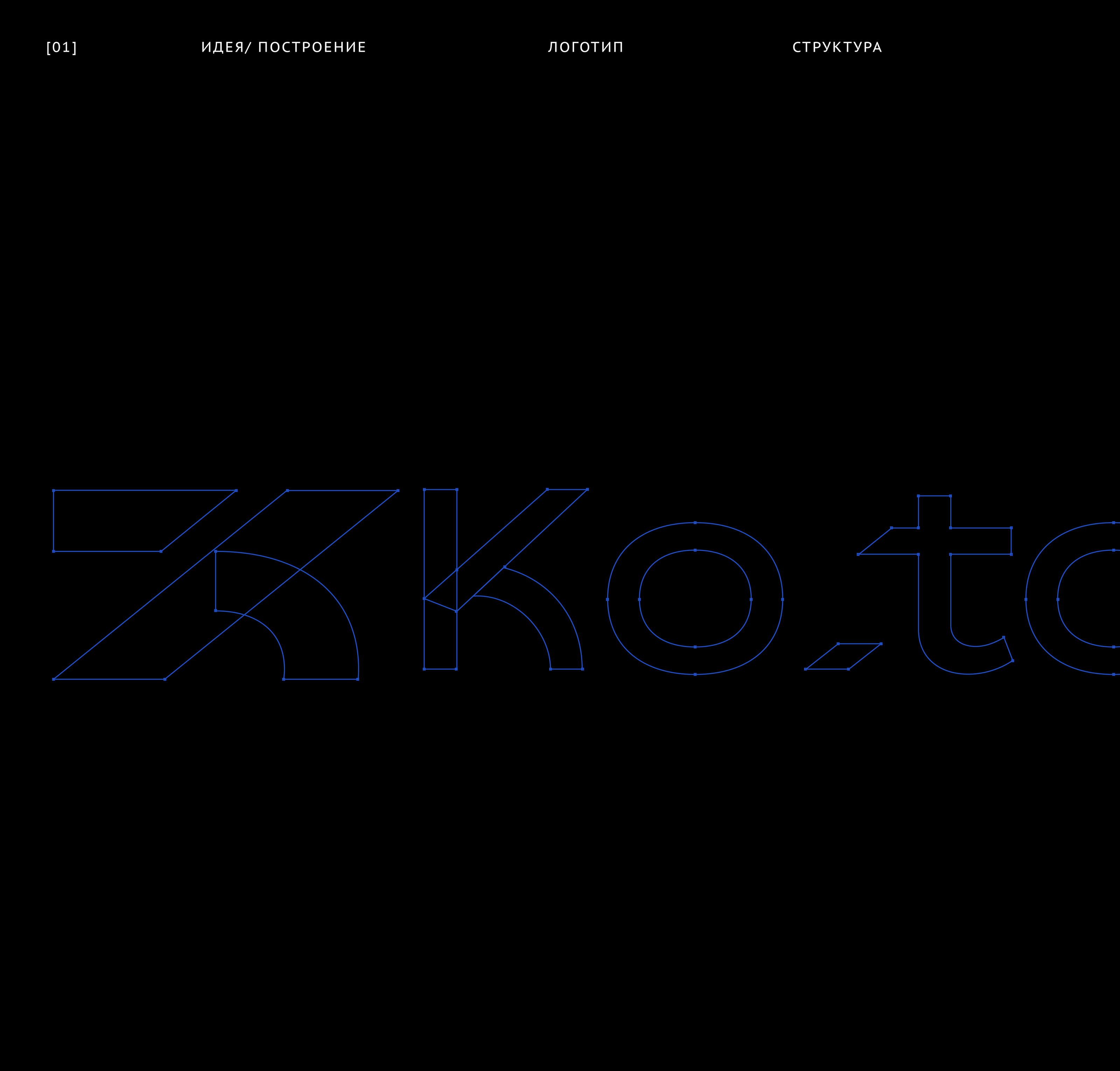 Фирменный стиль бренд одежды. Logo. Branding — Изображение №2 — Брендинг, Маркетинг на Dprofile