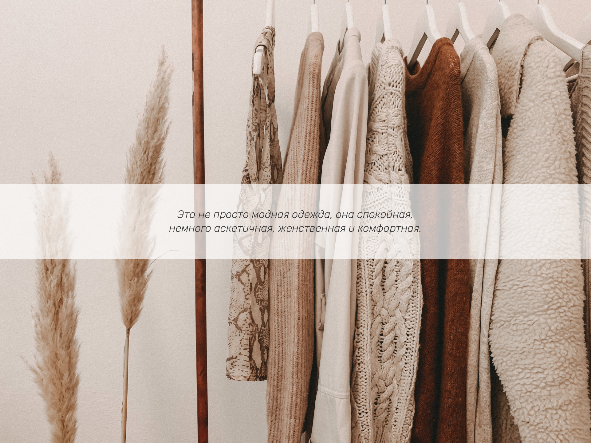 Фирменный стиль для бренда одежды "Можно Больше" — Изображение №2 — Брендинг, Графика на Dprofile