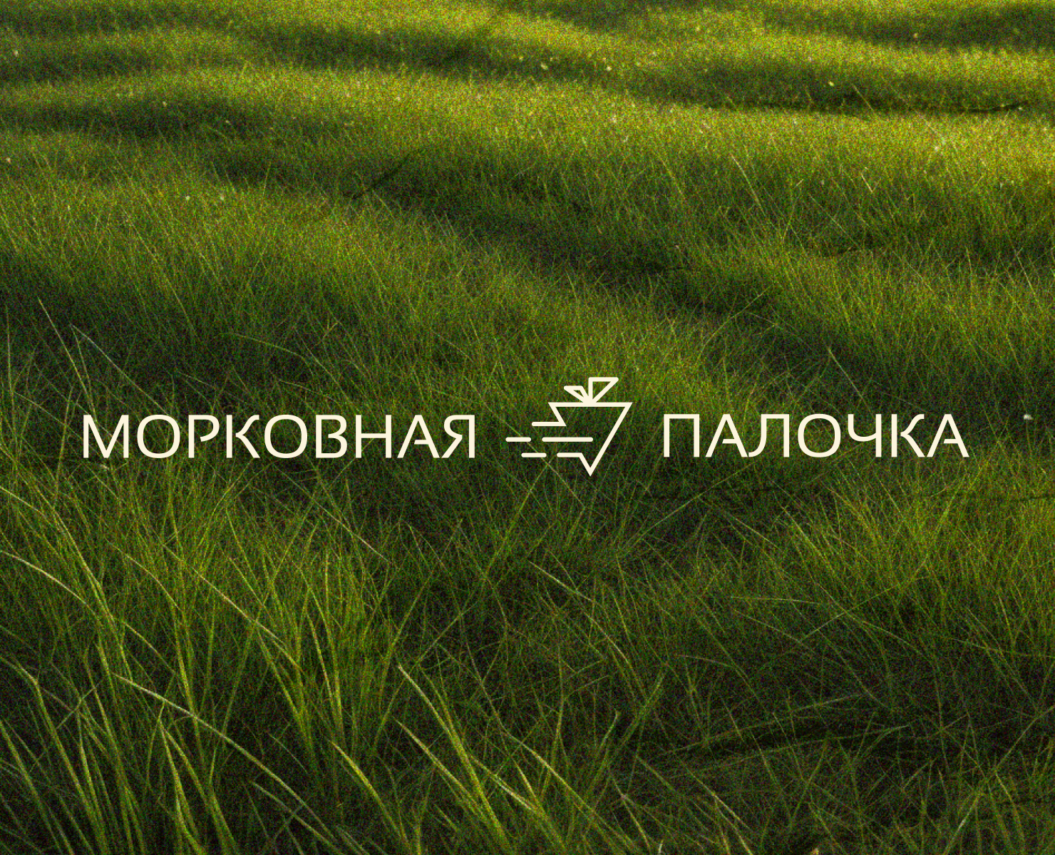 Брендинг для сервиса доставки полезных продуктов — Брендинг на Dprofile