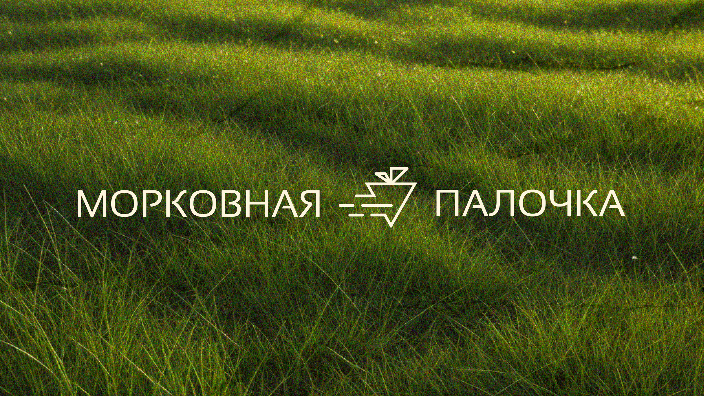 Брендинг для сервиса доставки полезных продуктов — Изображение №1 — Брендинг на Dprofile
