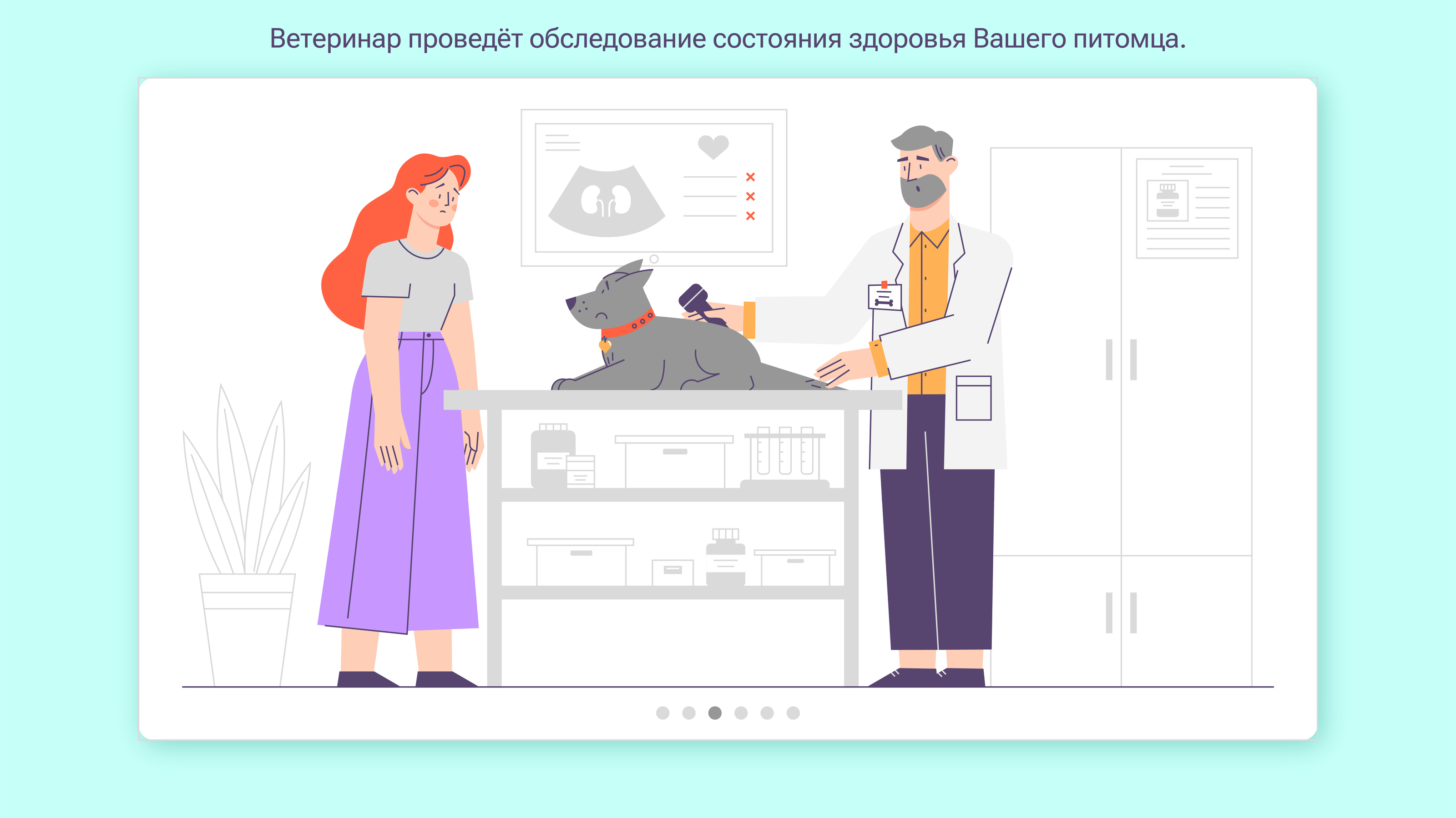 Ветеринарная клиника — Изображение №4 — Иллюстрация, Графика на Dprofile