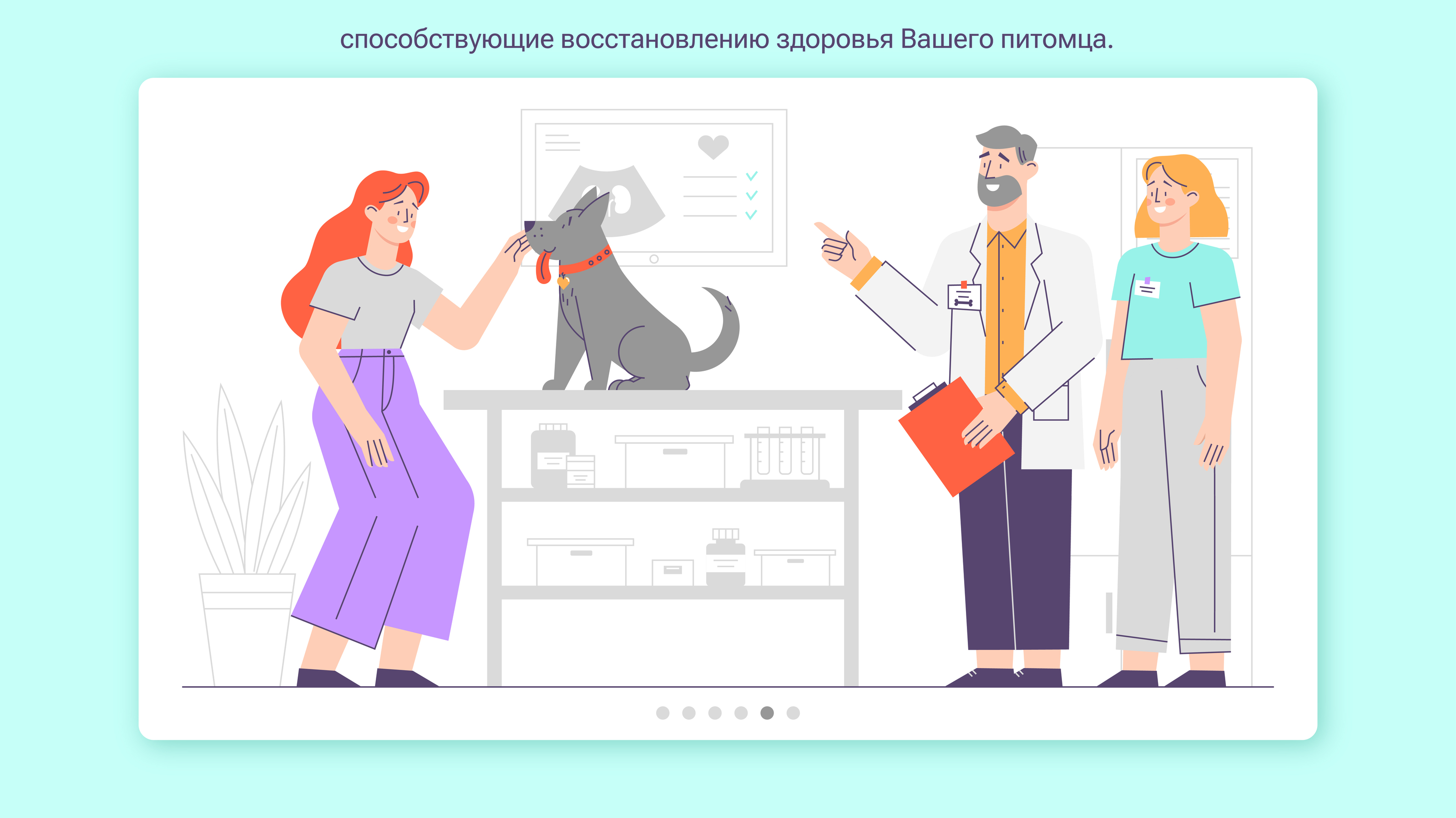 Ветеринарная клиника — Изображение №6 — Иллюстрация, Графика на Dprofile