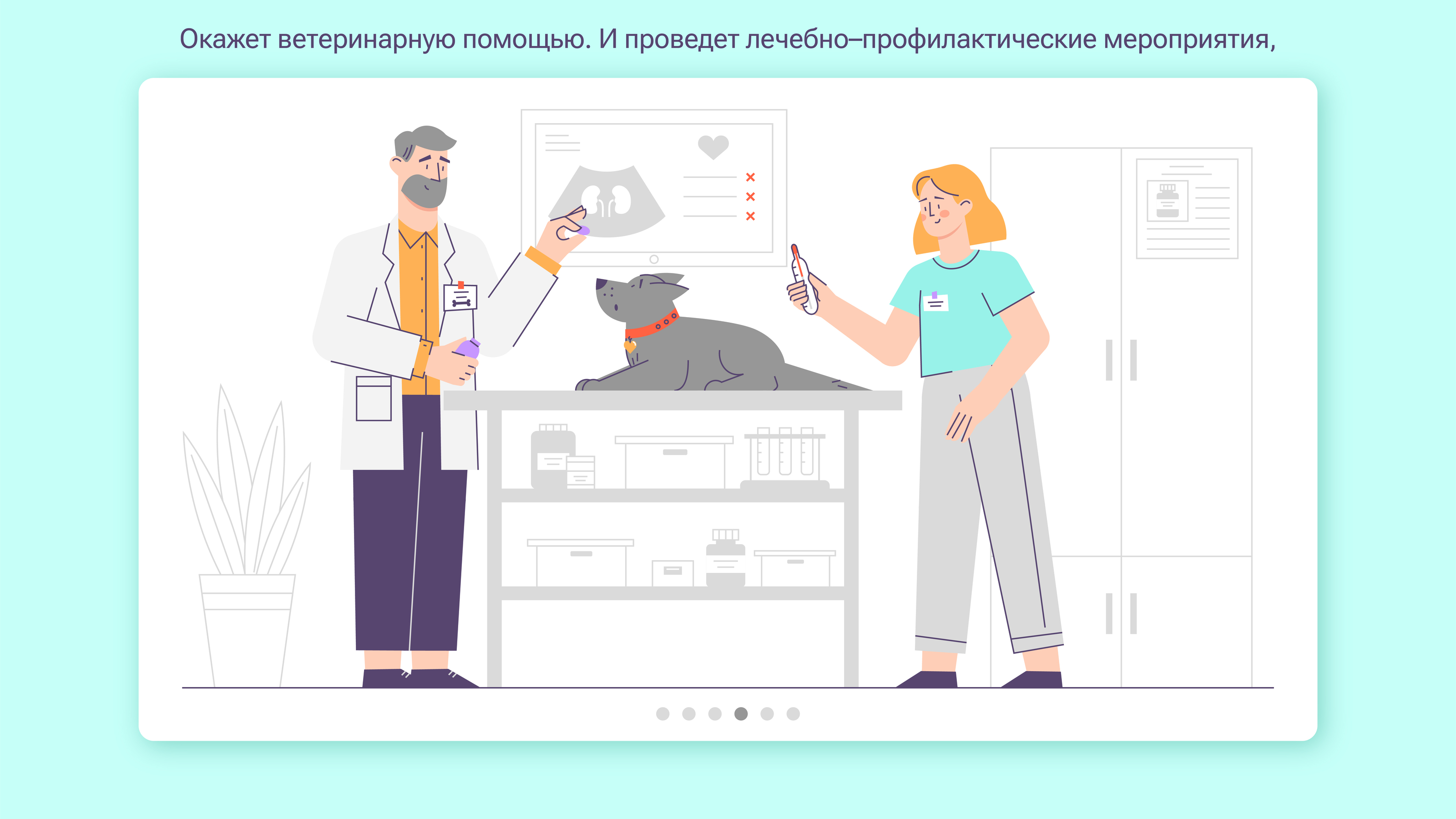 Ветеринарная клиника — Изображение №5 — Иллюстрация, Графика на Dprofile