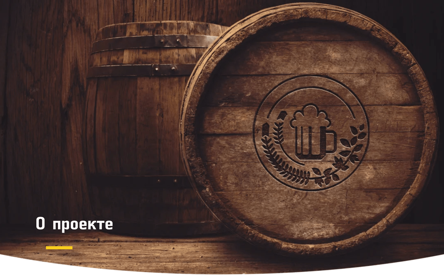 Beer Store | VISUAL CONCEPT — Изображение №2 — Брендинг на Dprofile
