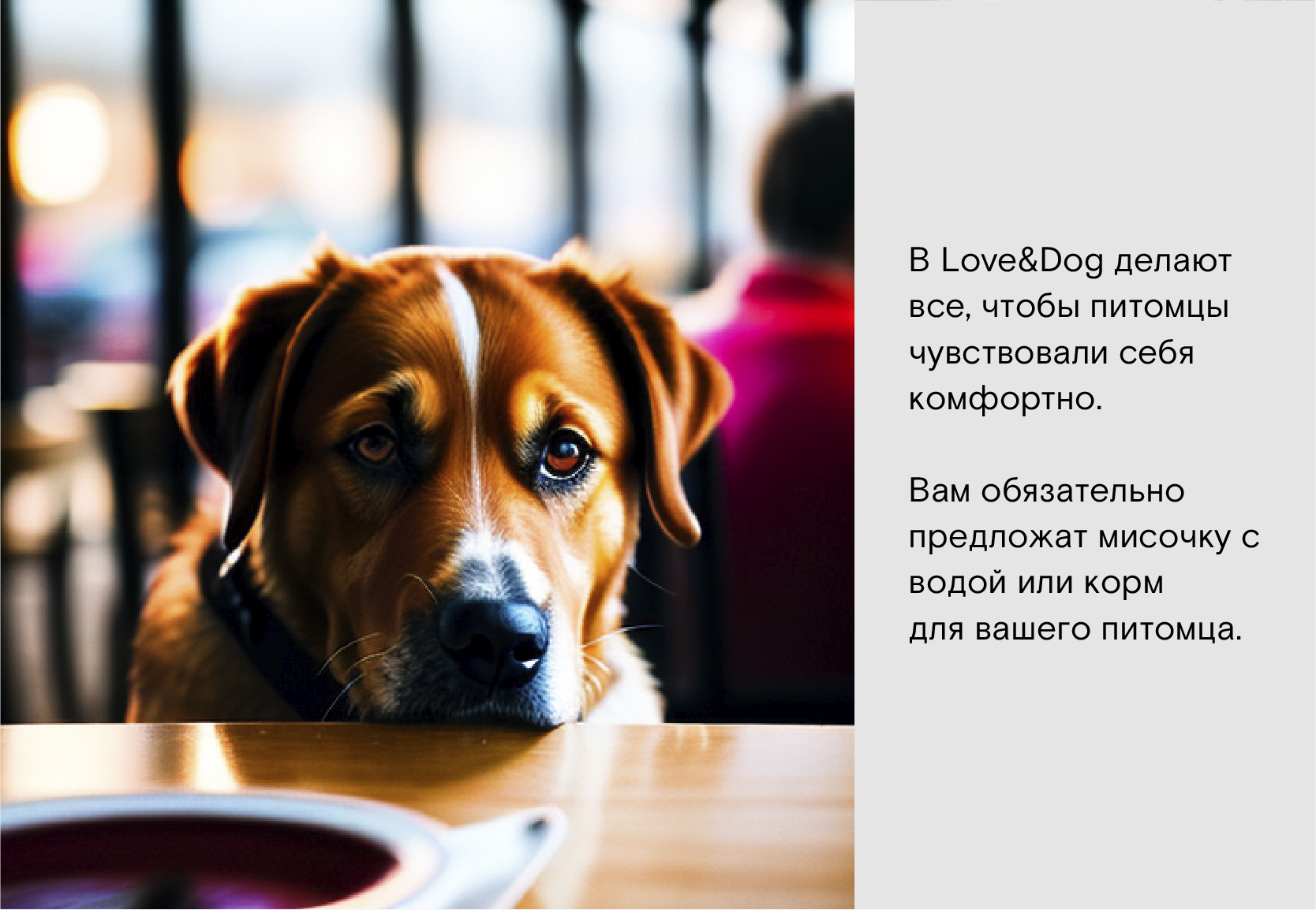 Cafe Brand Identity | PET FRIENDLY — Изображение №4 — Брендинг на Dprofile